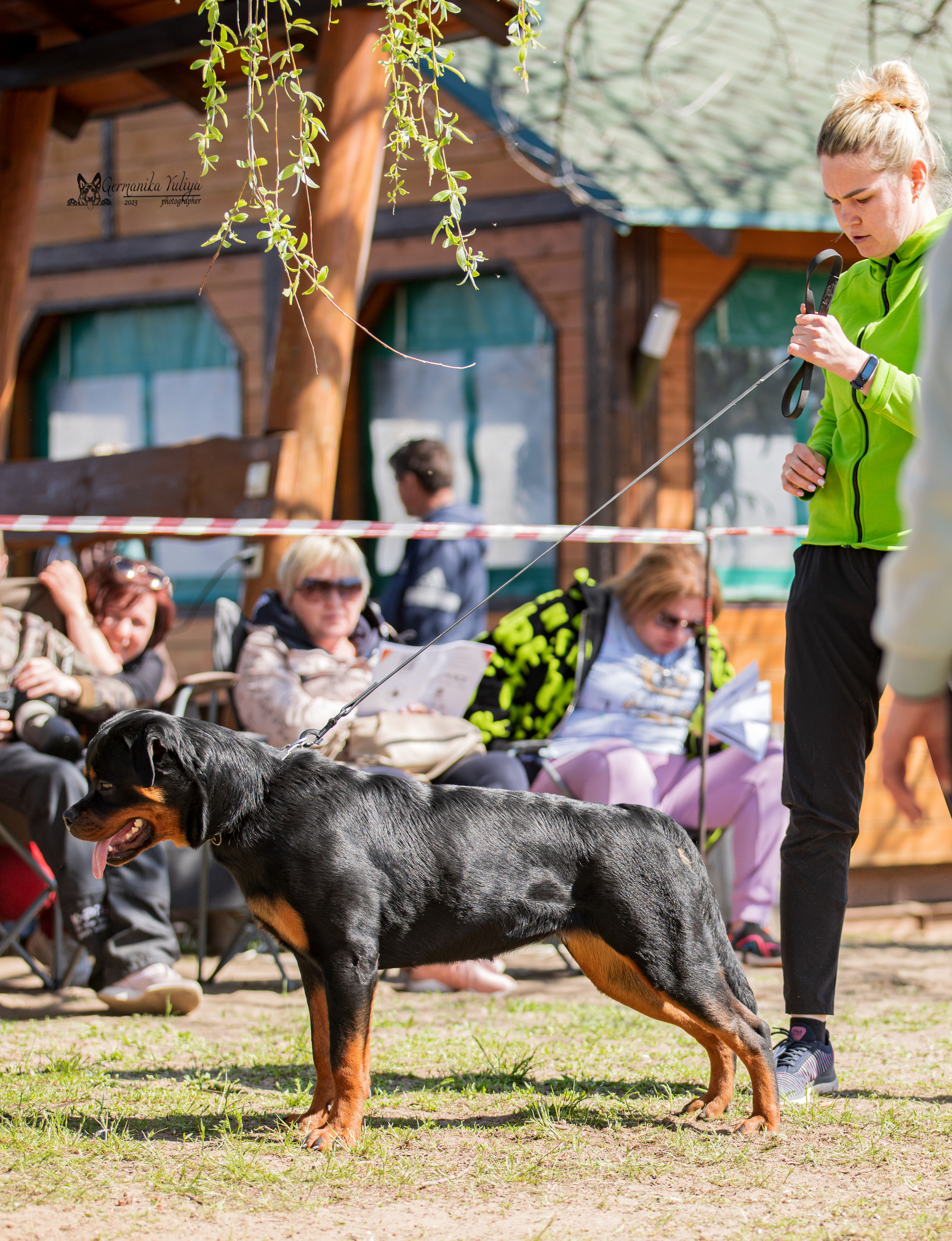 Саратов 2хмоно ротвейлеров 22-23.04.2023. Фотограф-анималист Юлия Германика
