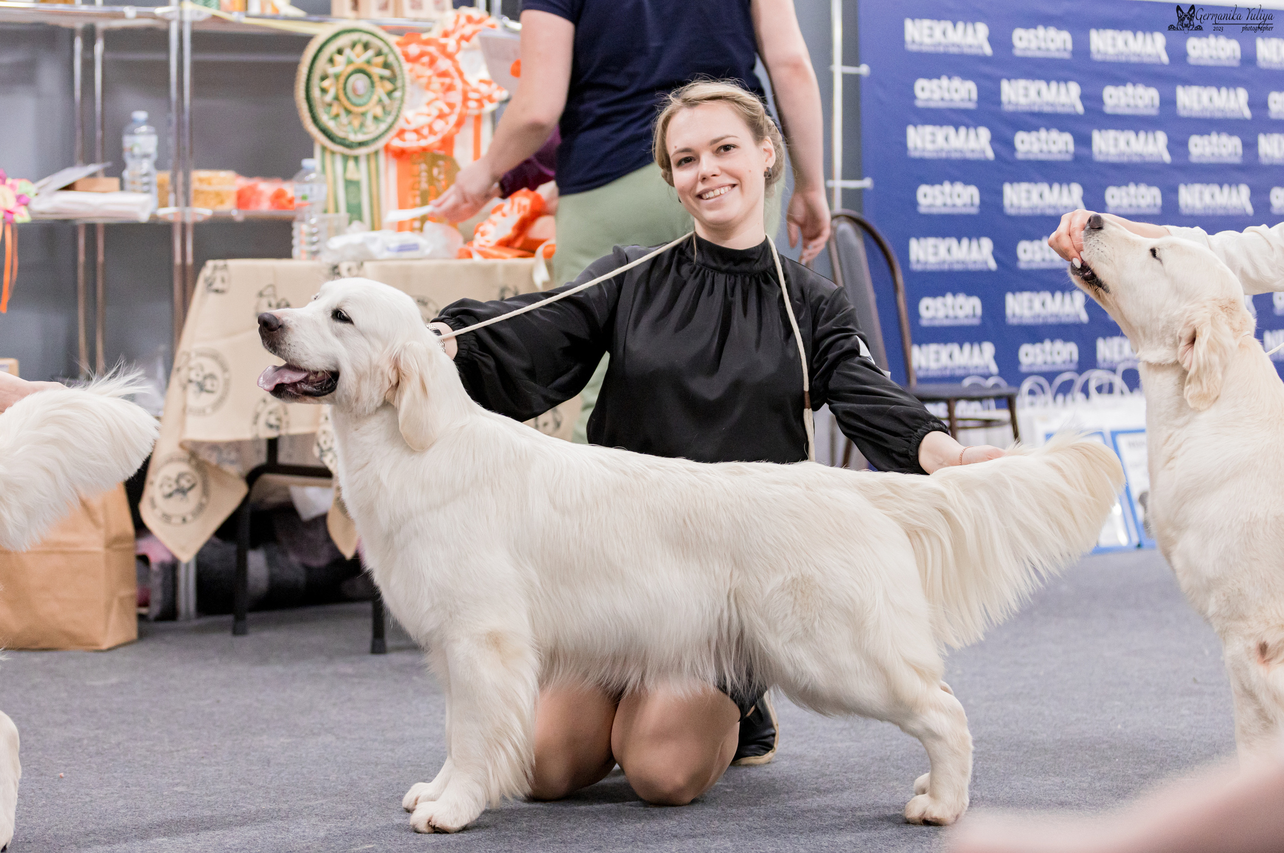 Сфера+МД 8-9.04.2023. Фотограф-анималист Юлия Германика