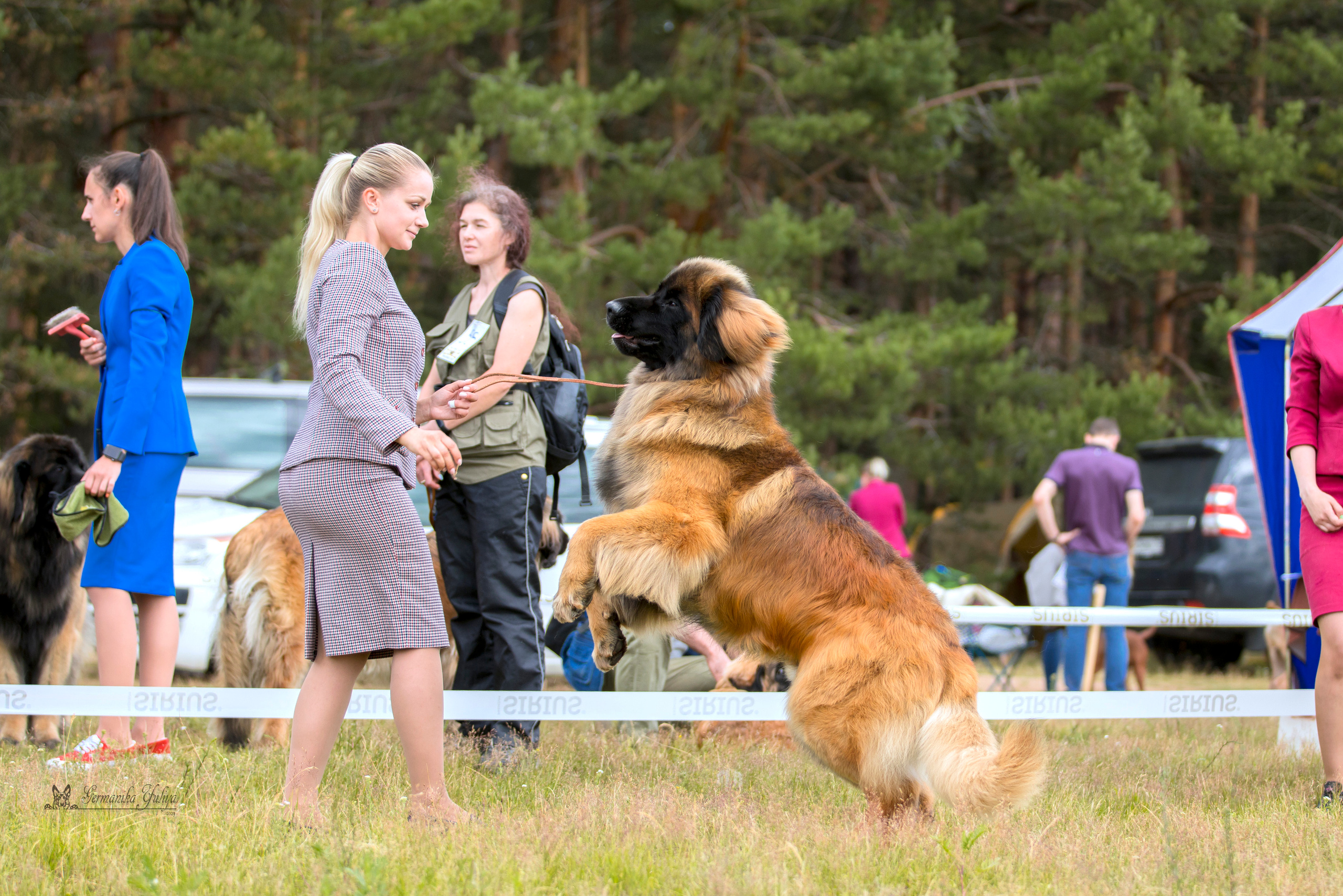 Волжанка 8.07.2023. Фотограф-анималист Юлия Германика
