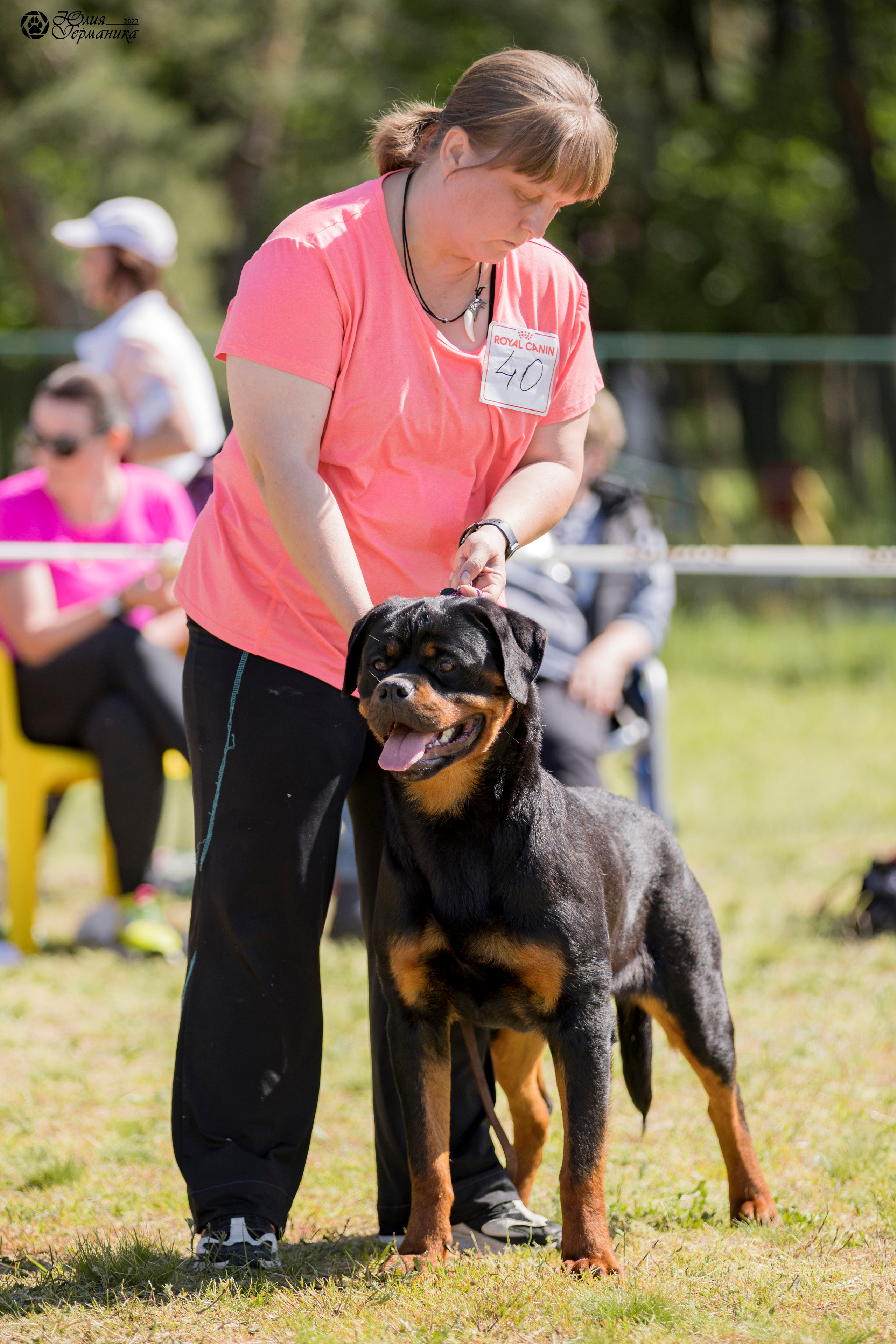 Воронеж 2хмоно ротвейлеров 3-4.06.2023. Фотограф-анималист Юлия Германика