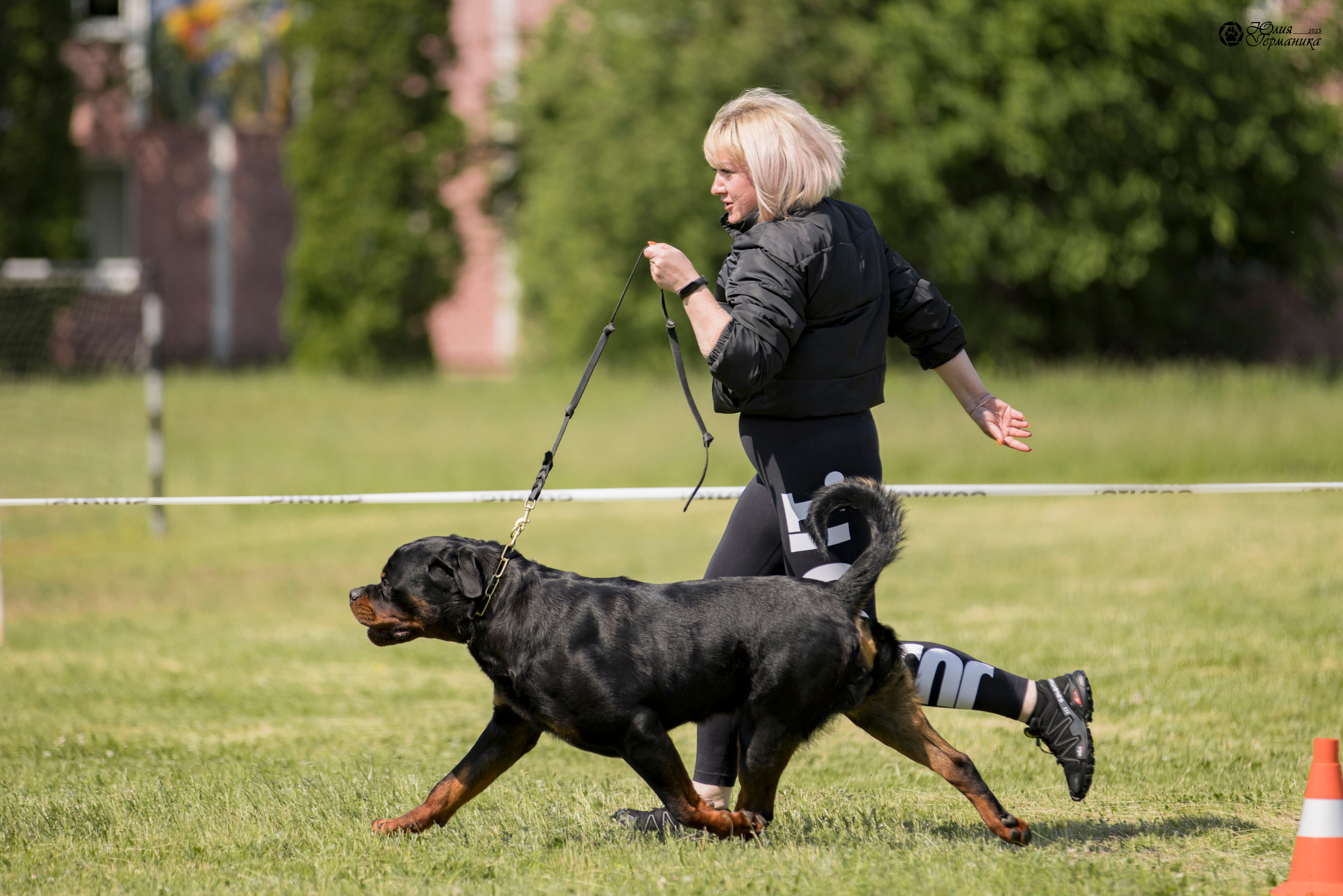 Воронеж 2хмоно ротвейлеров 3-4.06.2023. Фотограф-анималист Юлия Германика