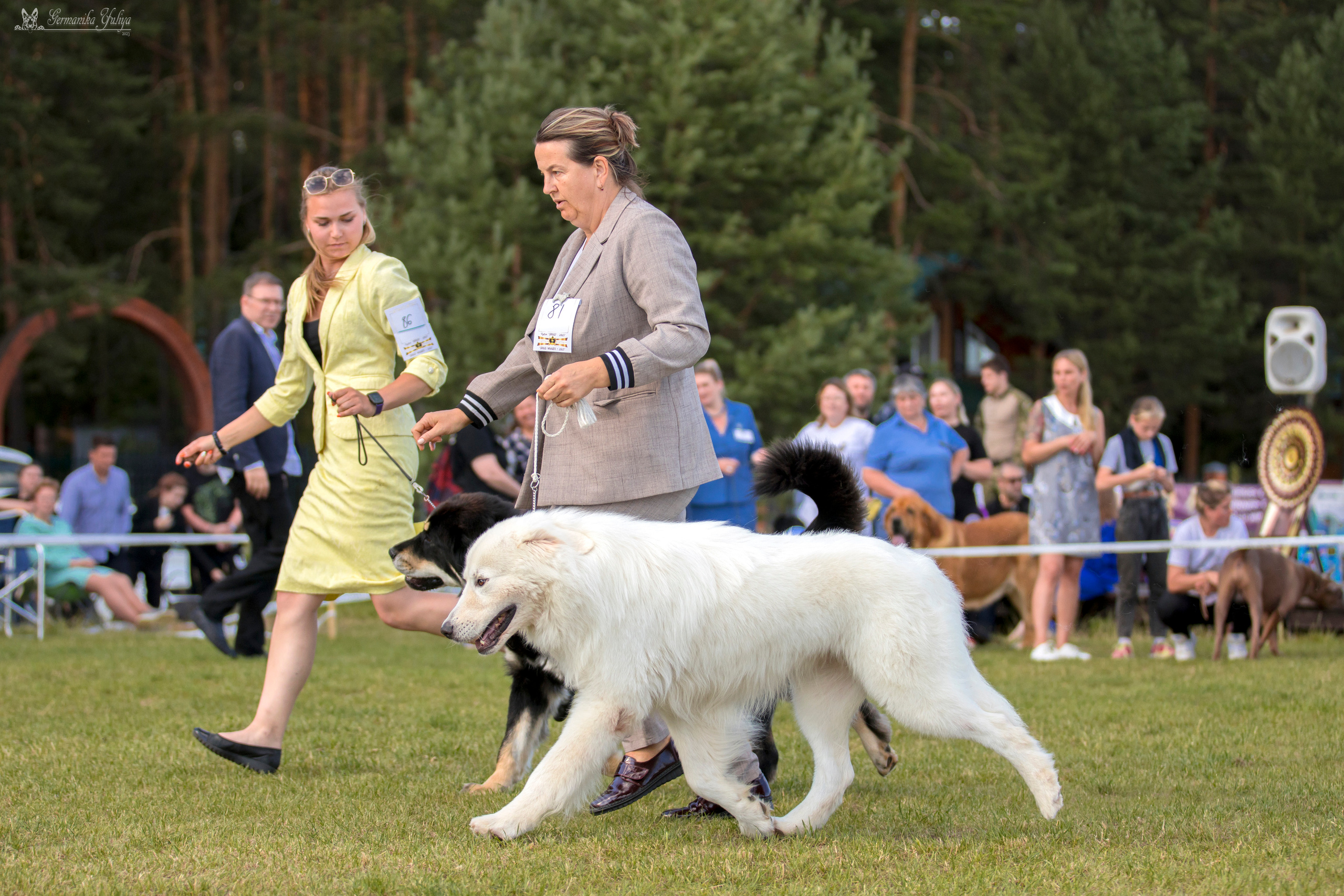 Волжанка 8.07.2023. Фотограф-анималист Юлия Германика