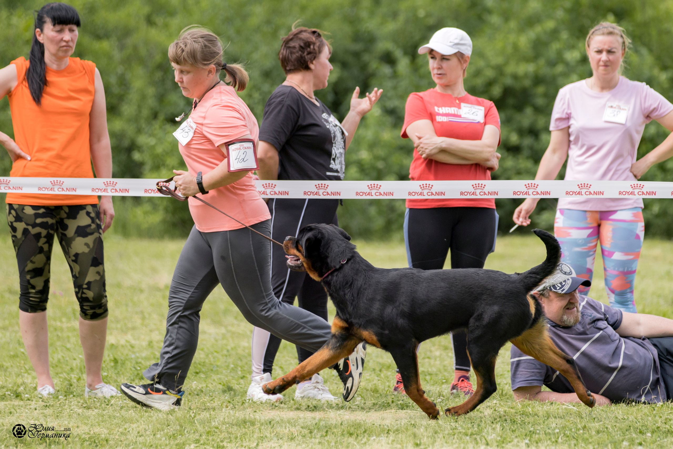 Воронеж 2хмоно ротвейлеров 3-4.06.2023. Фотограф-анималист Юлия Германика