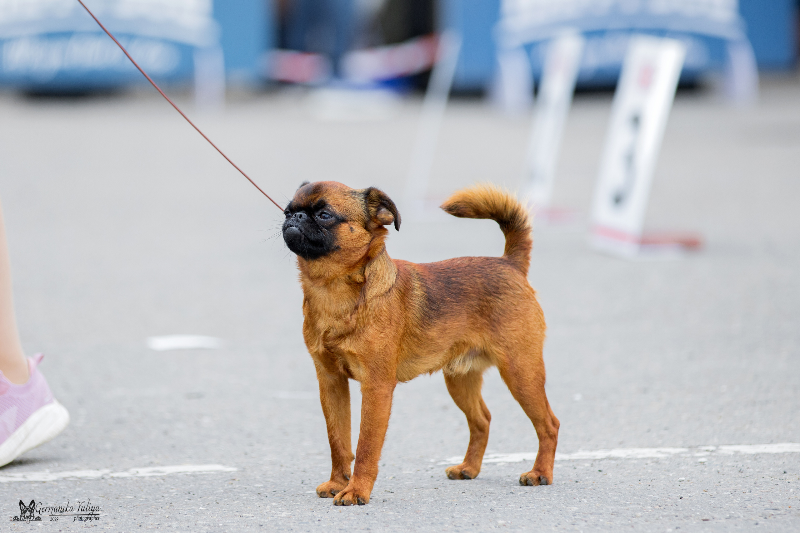 Измайлово 21.05.2023. Фотограф-анималист Юлия Германика