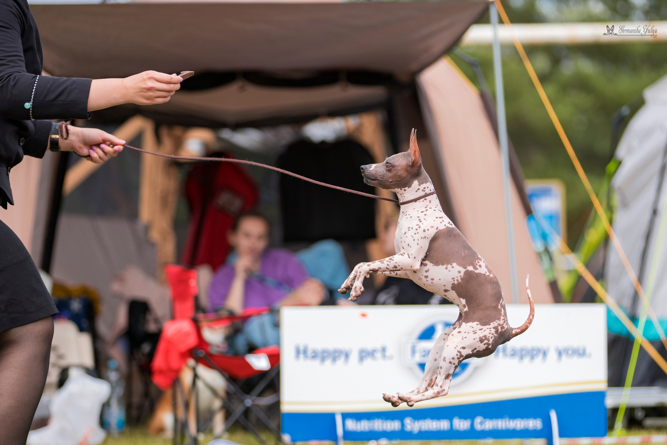 Владимир 1-2.07.2023. Фотограф-анималист Юлия Германика