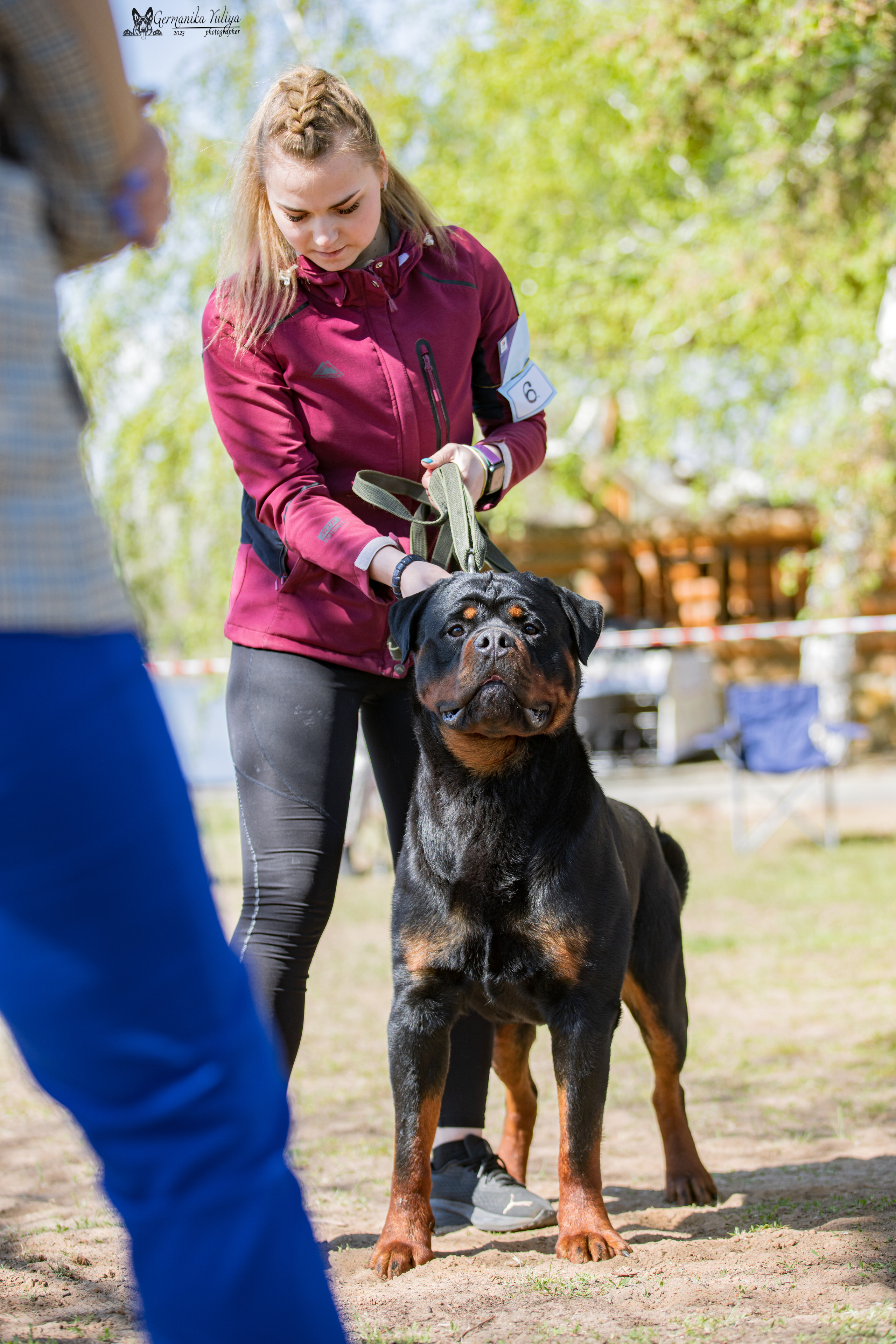 Саратов 2хмоно ротвейлеров 22-23.04.2023. Фотограф-анималист Юлия Германика