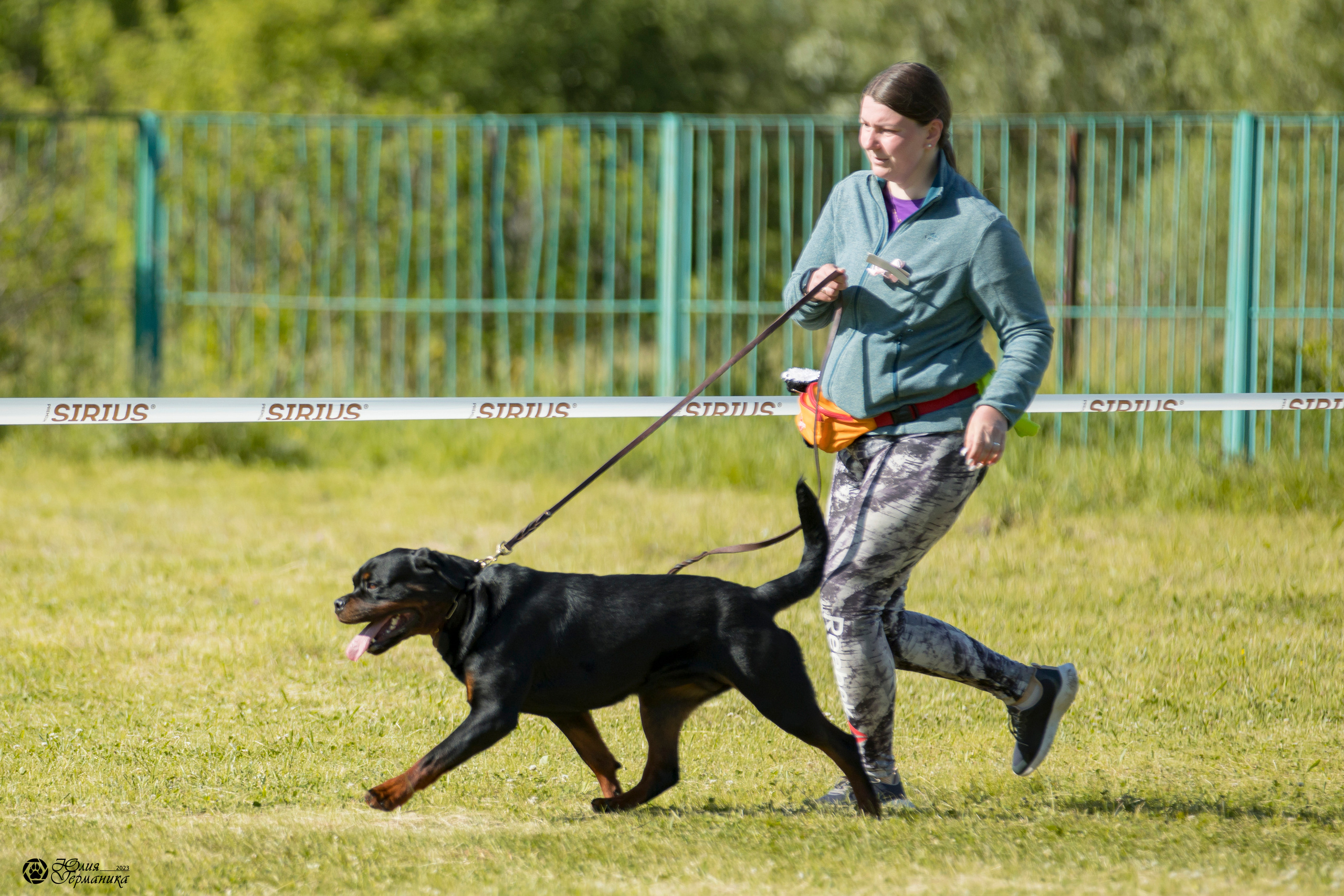 Воронеж 2хмоно ротвейлеров 3-4.06.2023. Фотограф-анималист Юлия Германика