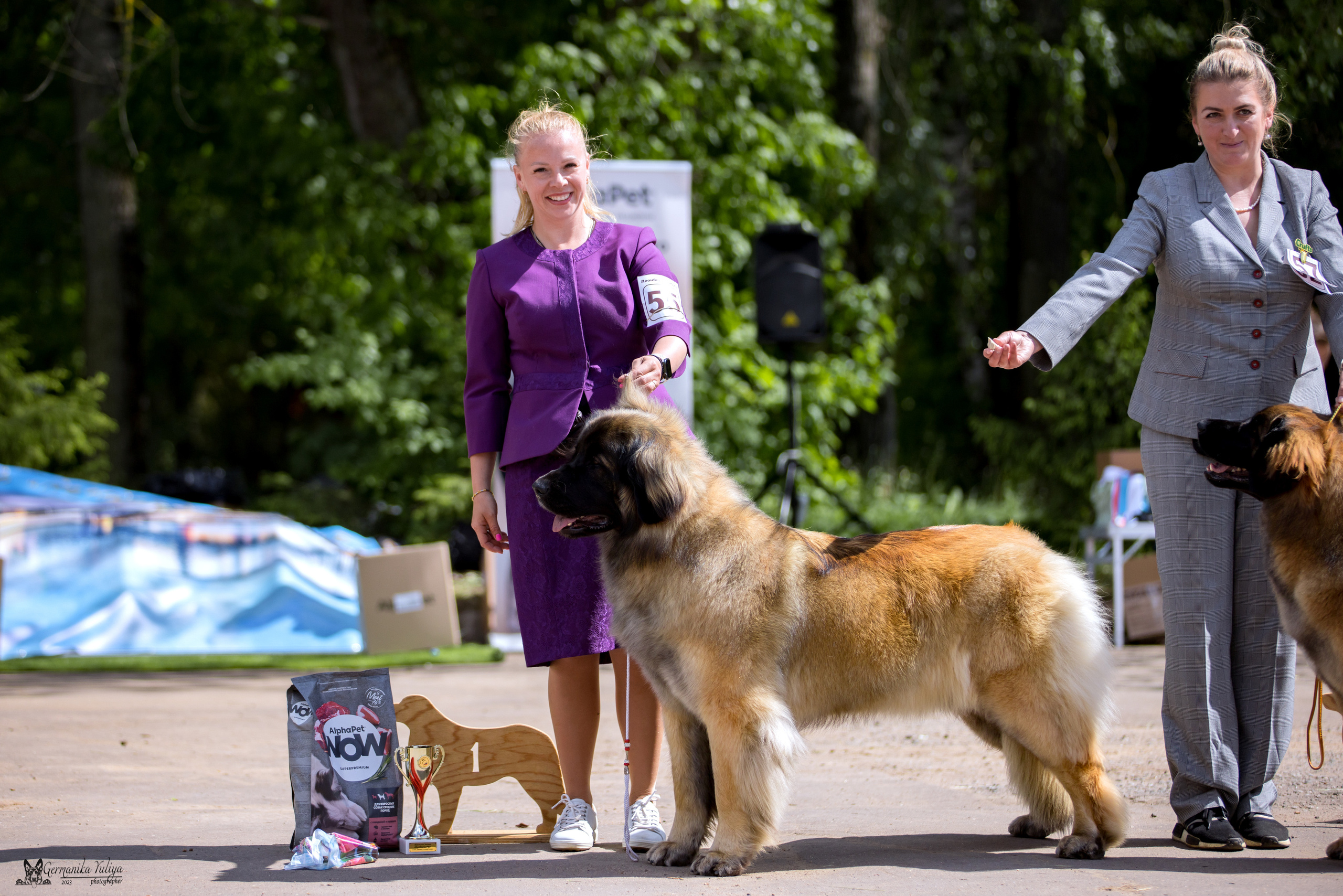 Националка Леонбергеров 28.05.2023. Фотограф-анималист Юлия Германика
