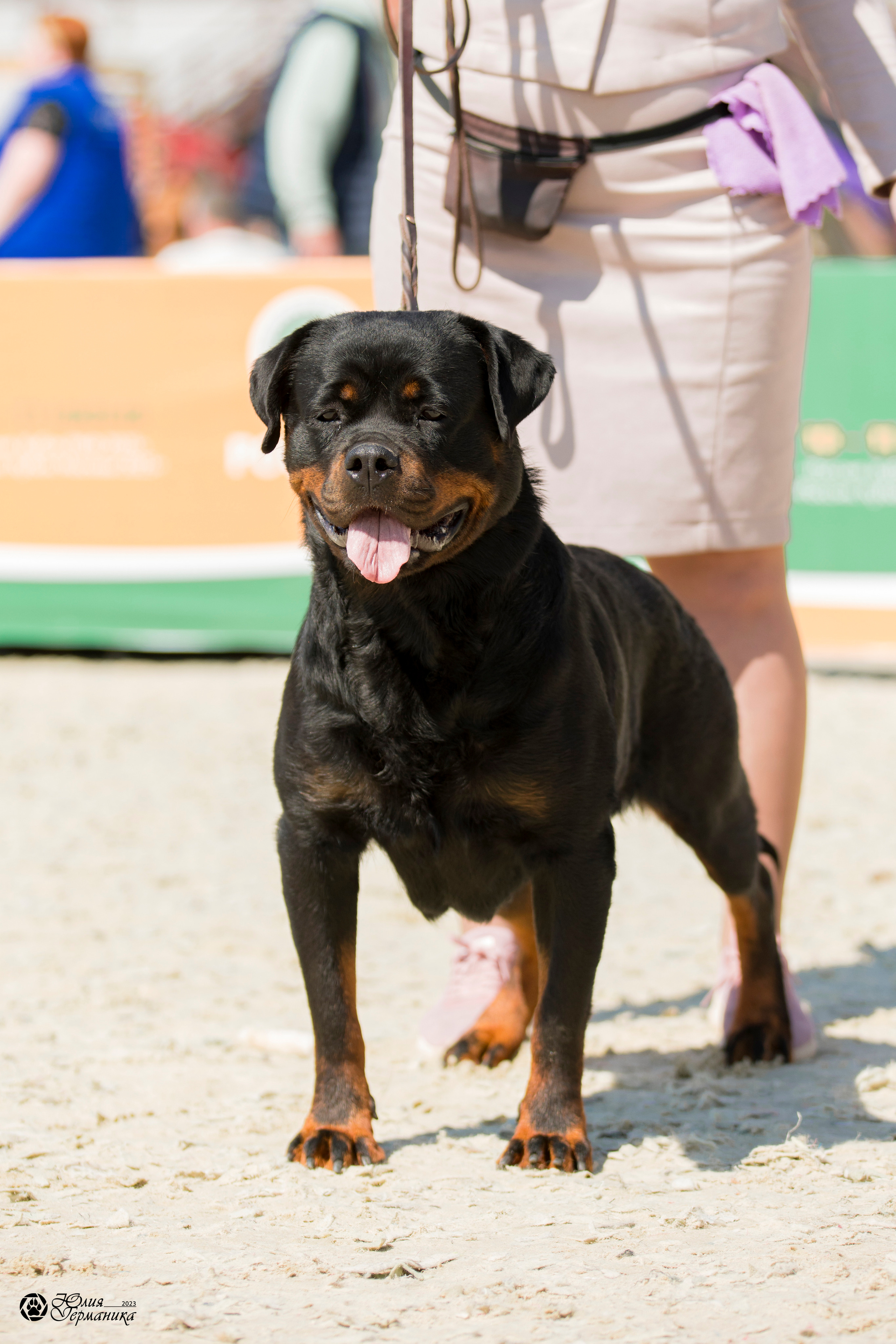 Россия 10-11.06.2023. Фотограф-анималист Юлия Германика
