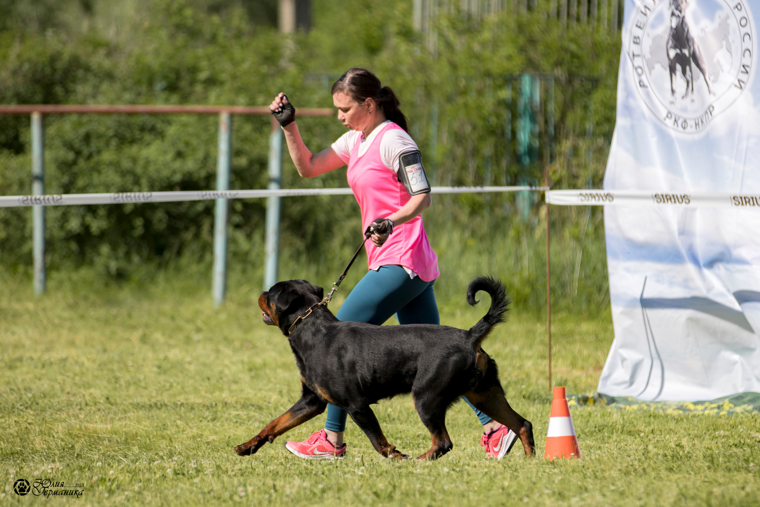 Воронеж 2хмоно ротвейлеров 3-4.06.2023. Фотограф-анималист Юлия Германика