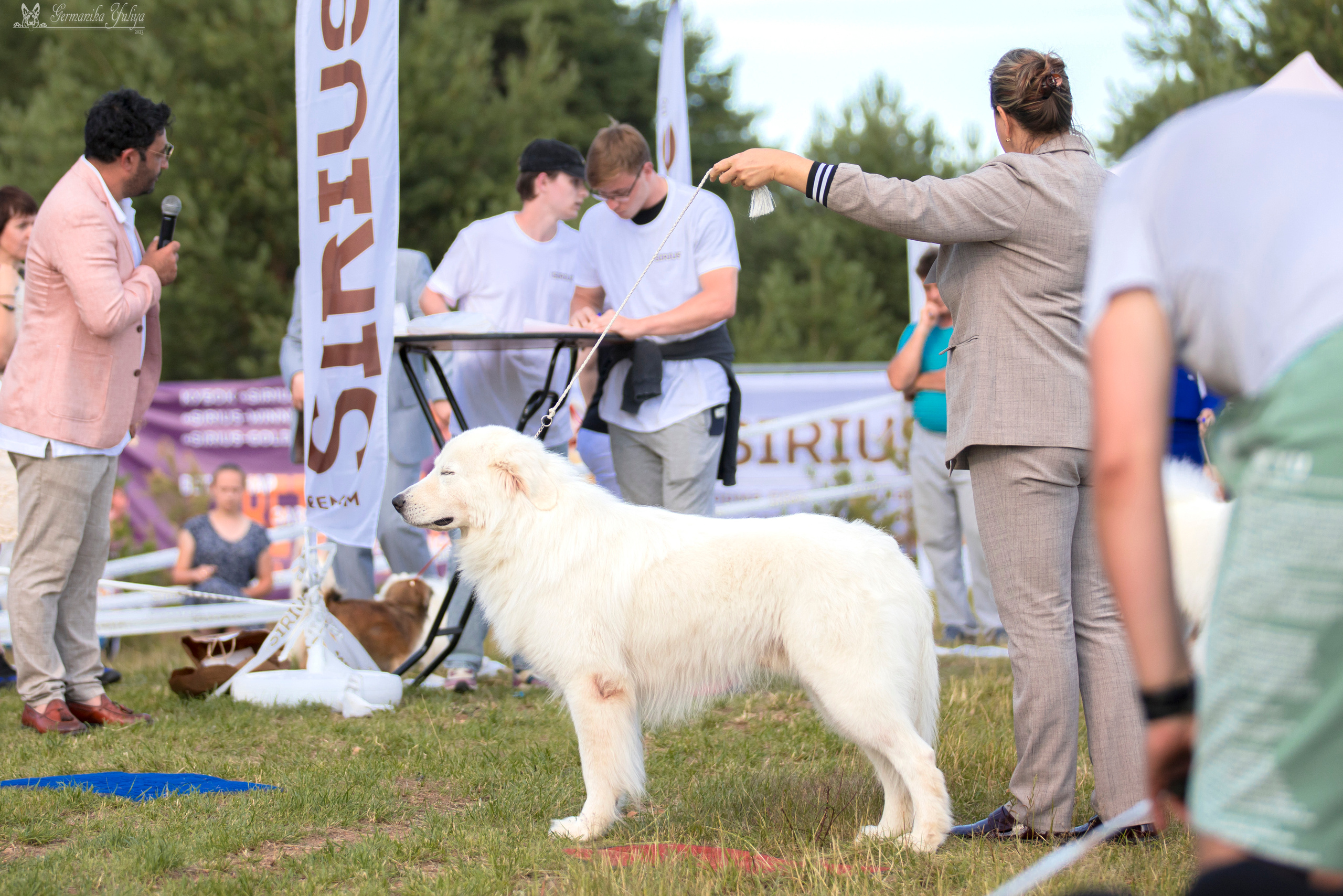 Волжанка 8.07.2023. Фотограф-анималист Юлия Германика