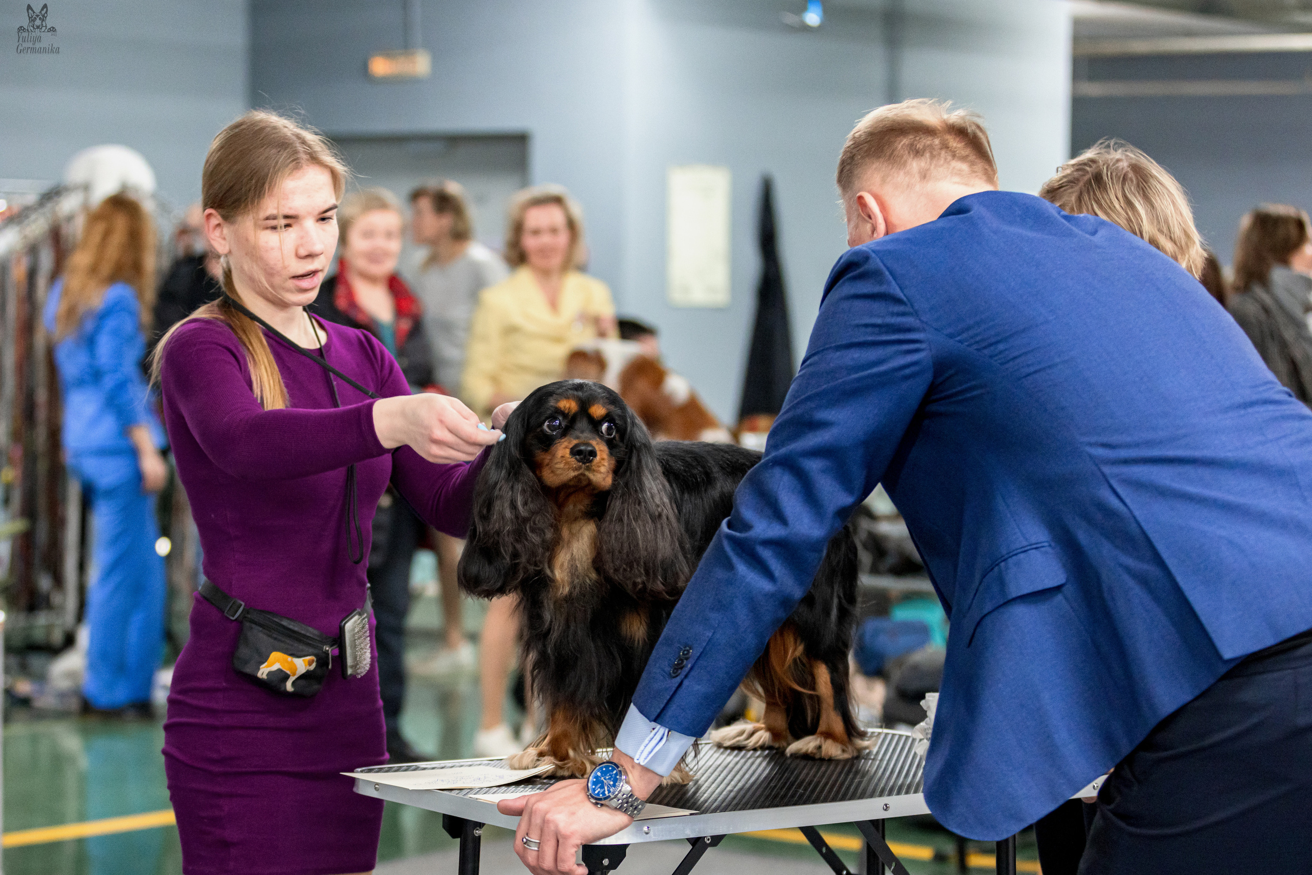 Сфера 25-26.03.2023. Фотограф-анималист Юлия Германика