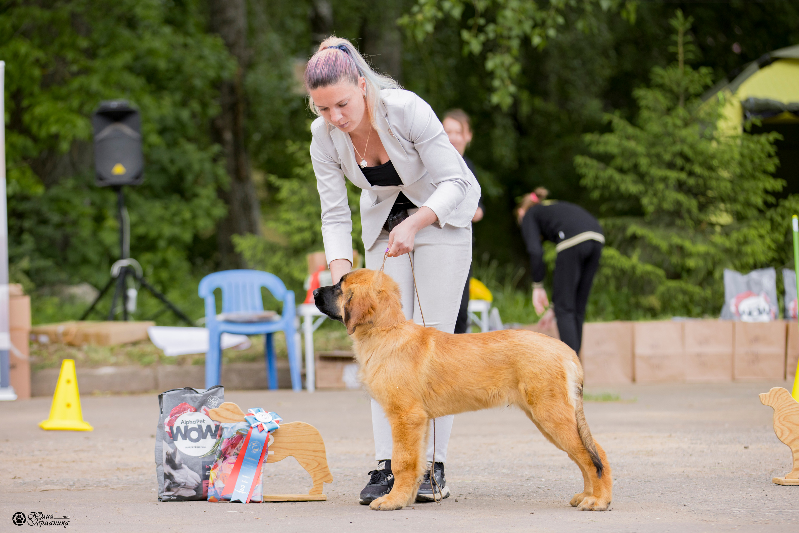 Националка Леонбергеров 28.05.2023. Фотограф-анималист Юлия Германика