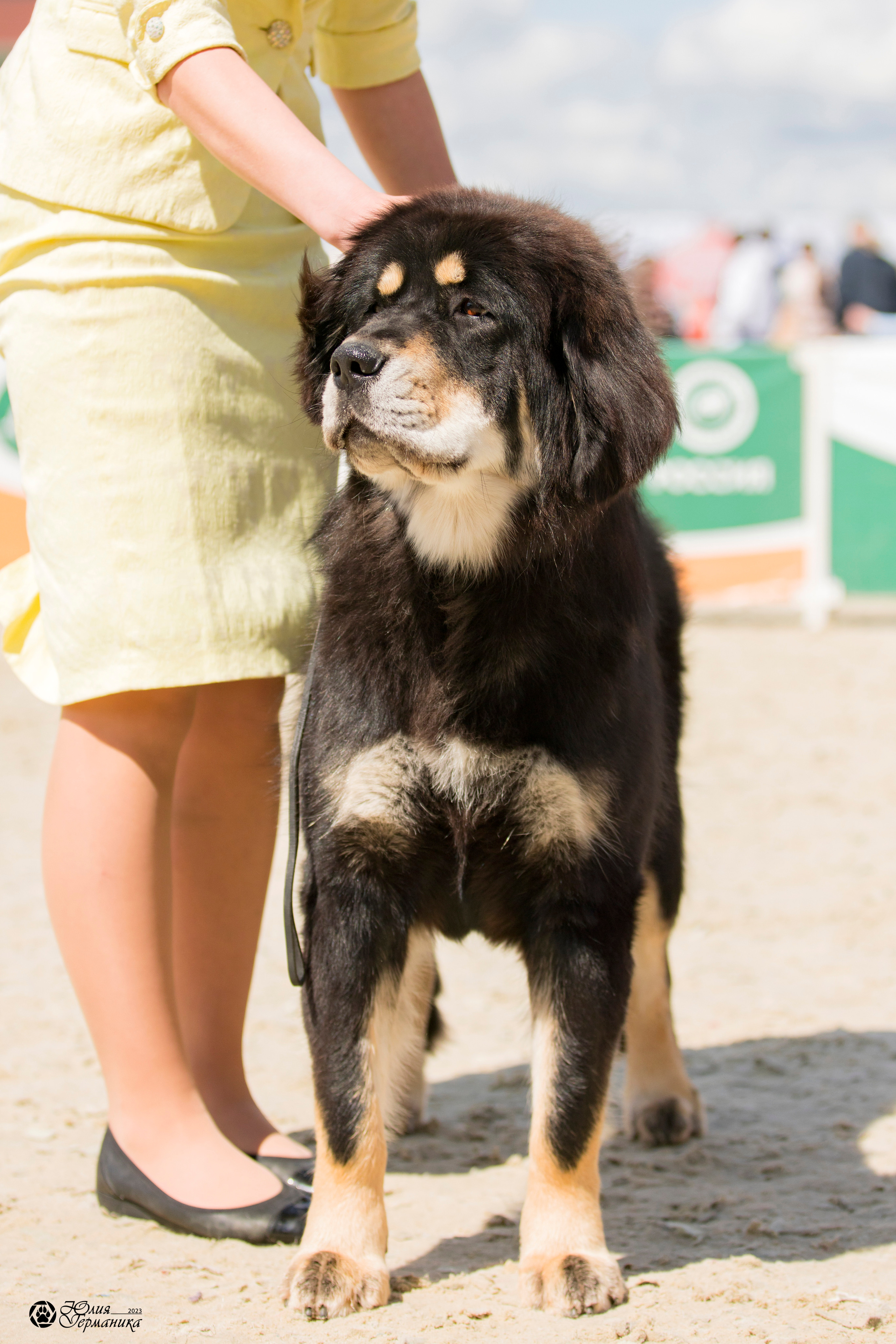 Россия 10-11.06.2023. Фотограф-анималист Юлия Германика
