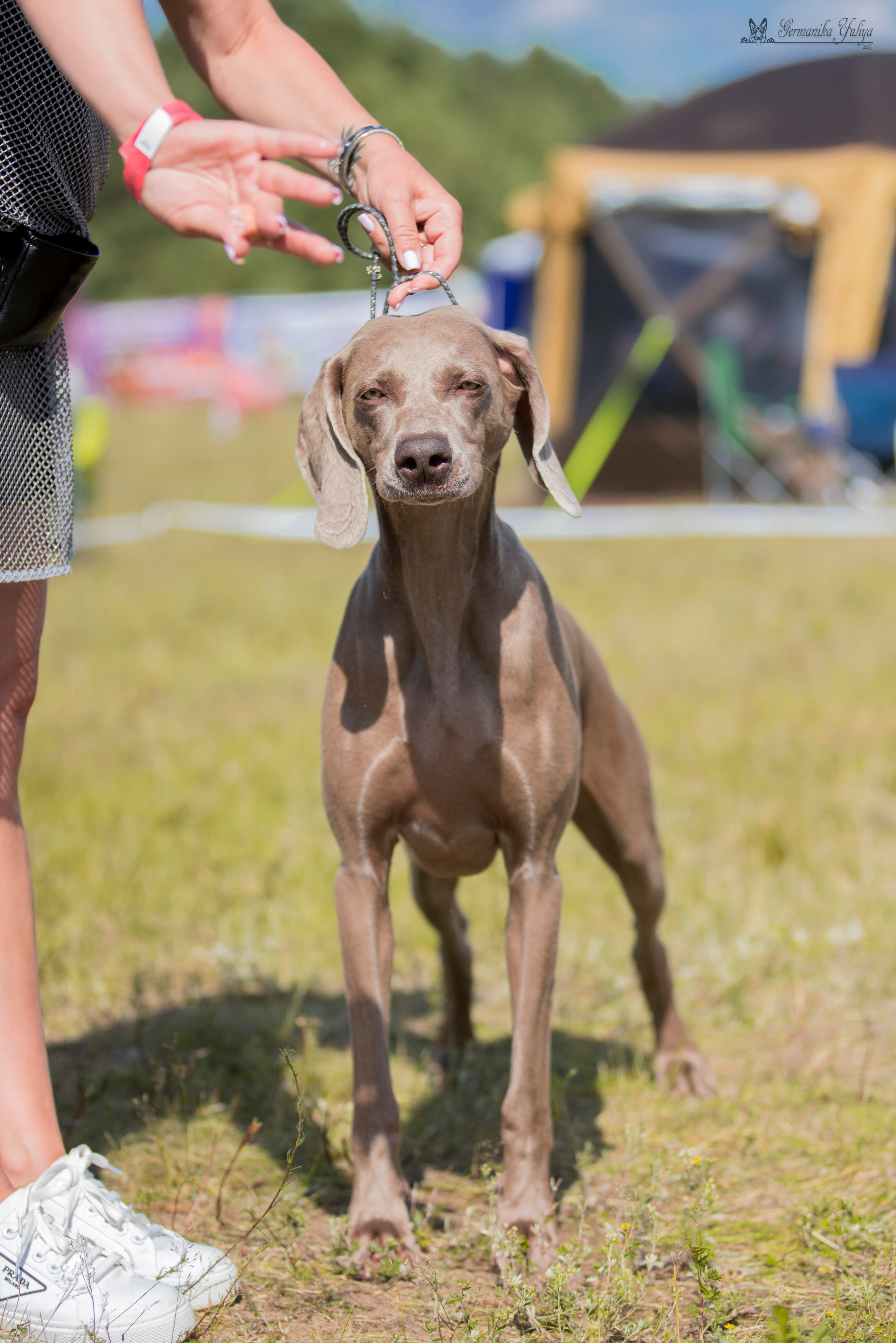 Волжанка 8.07.2023. Фотограф-анималист Юлия Германика