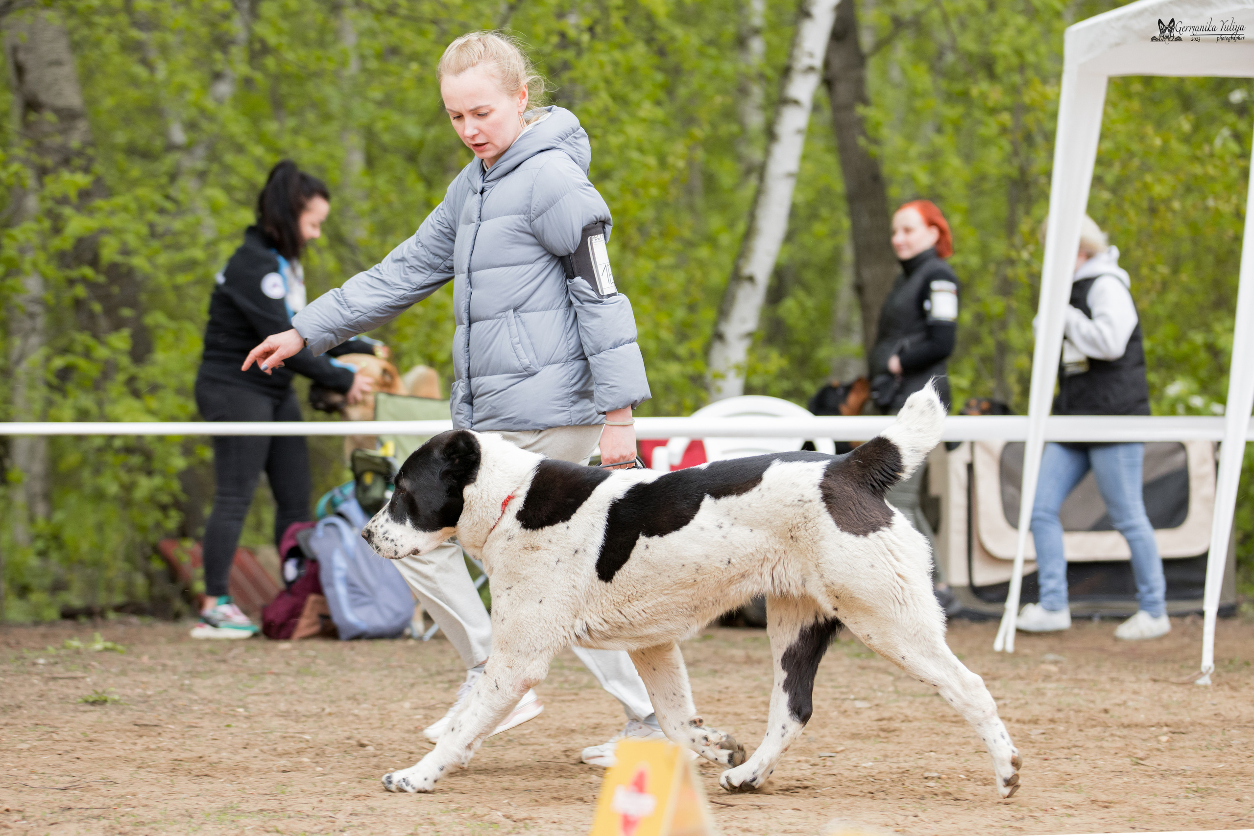 Сокольники 1.05.2023. Фотограф-анималист Юлия Германика