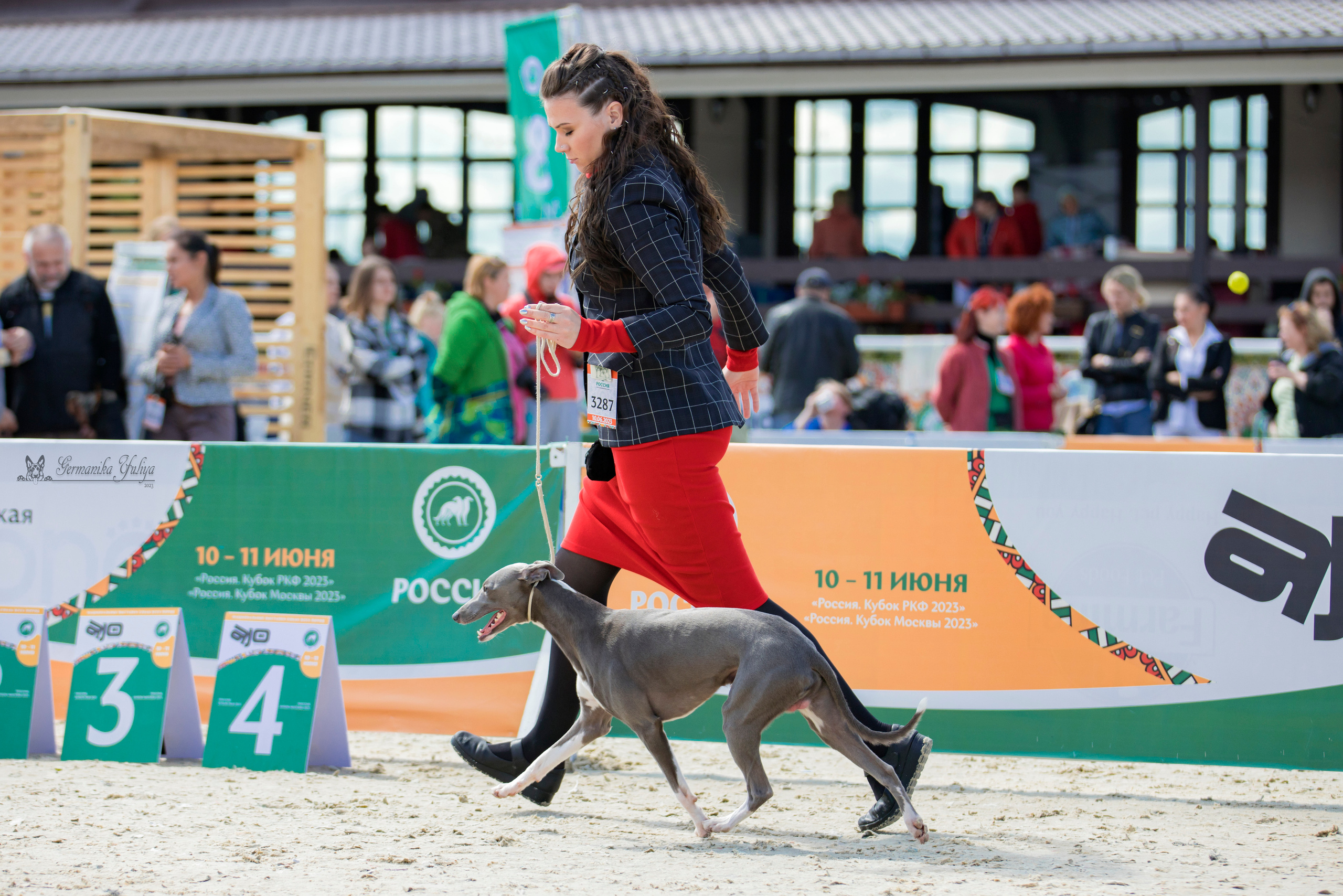 Россия 10-11.06.2023. Фотограф-анималист Юлия Германика