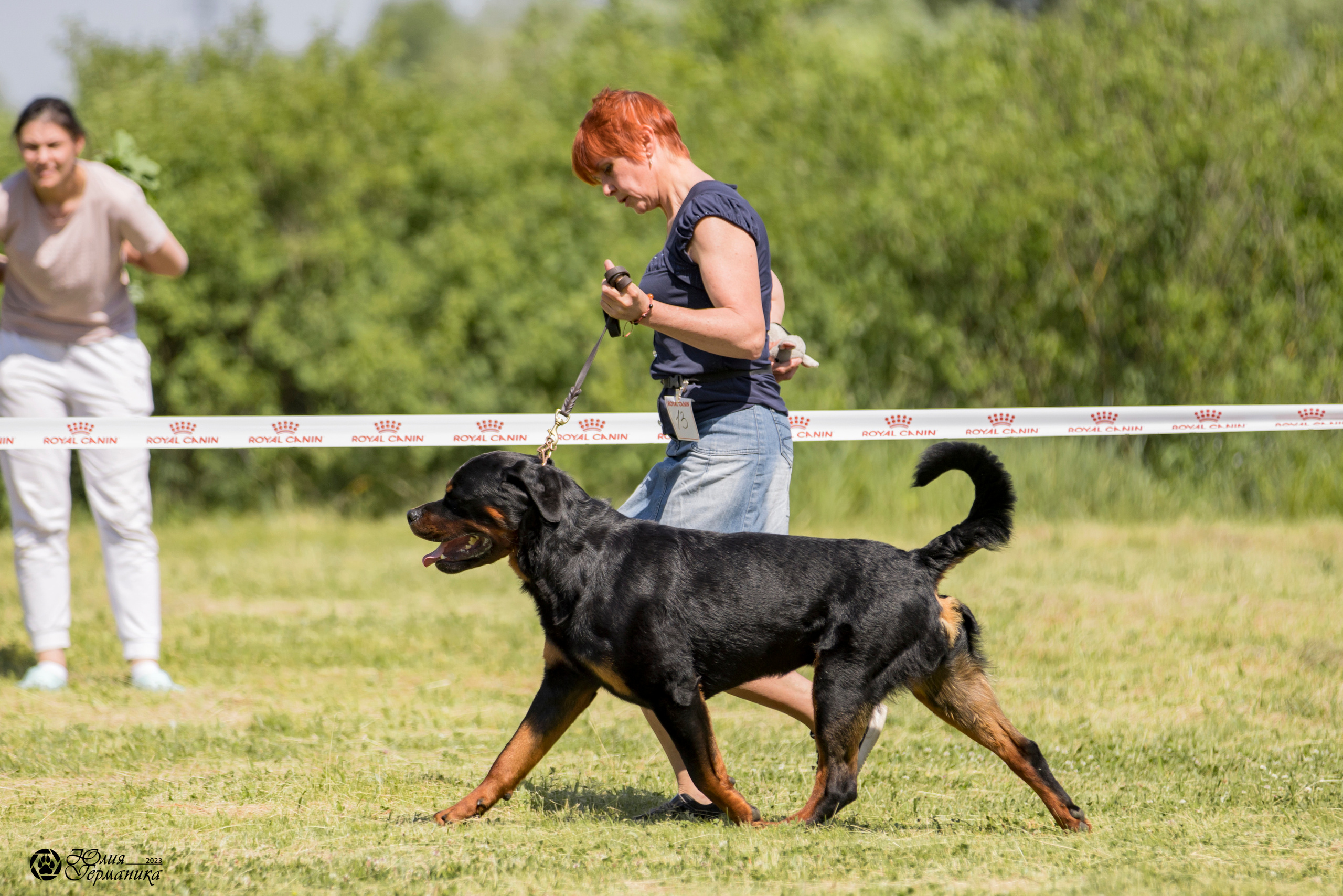 Воронеж 2хмоно ротвейлеров 3-4.06.2023. Фотограф-анималист Юлия Германика