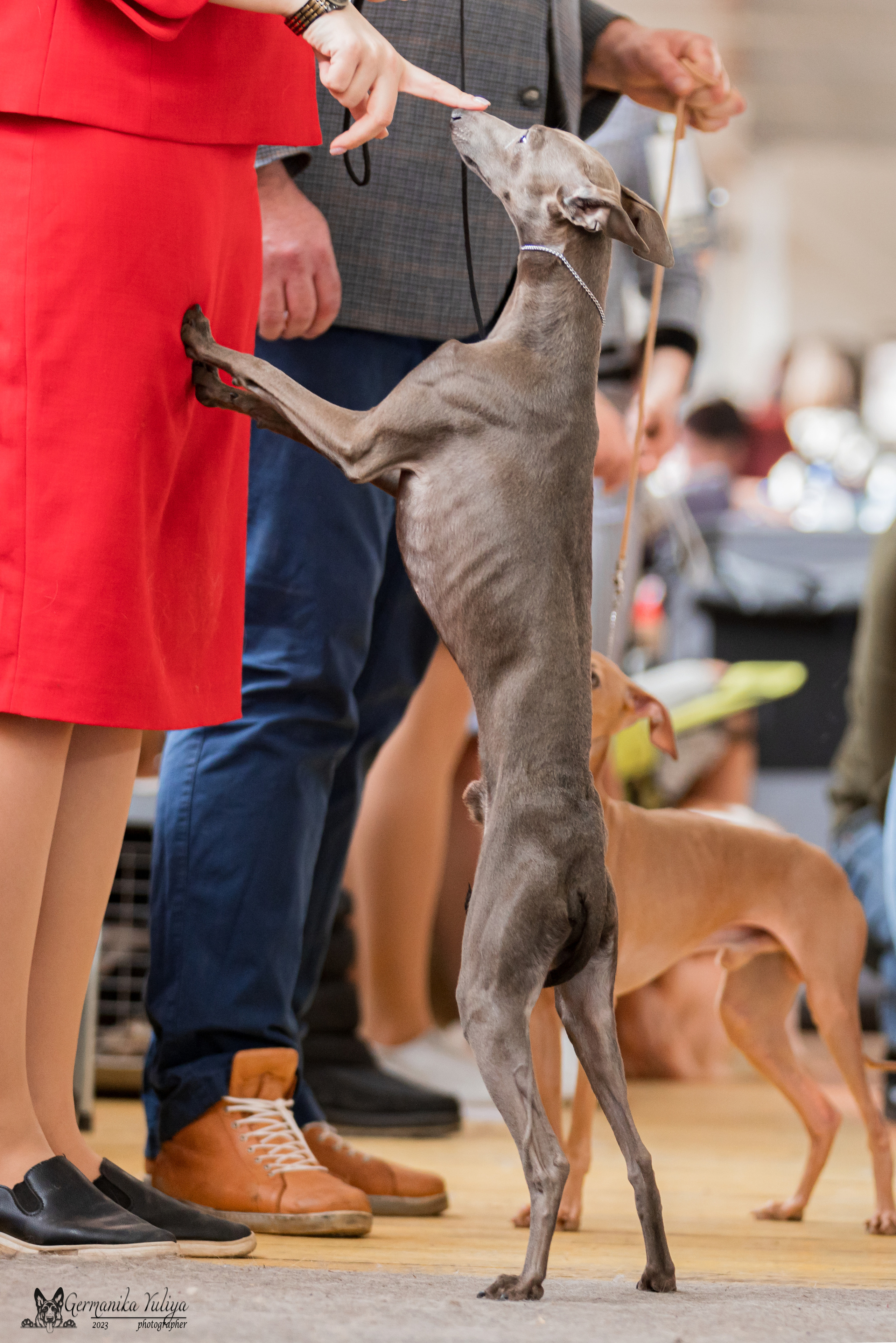 Тверь 01.04.2023. Фотограф-анималист Юлия Германика
