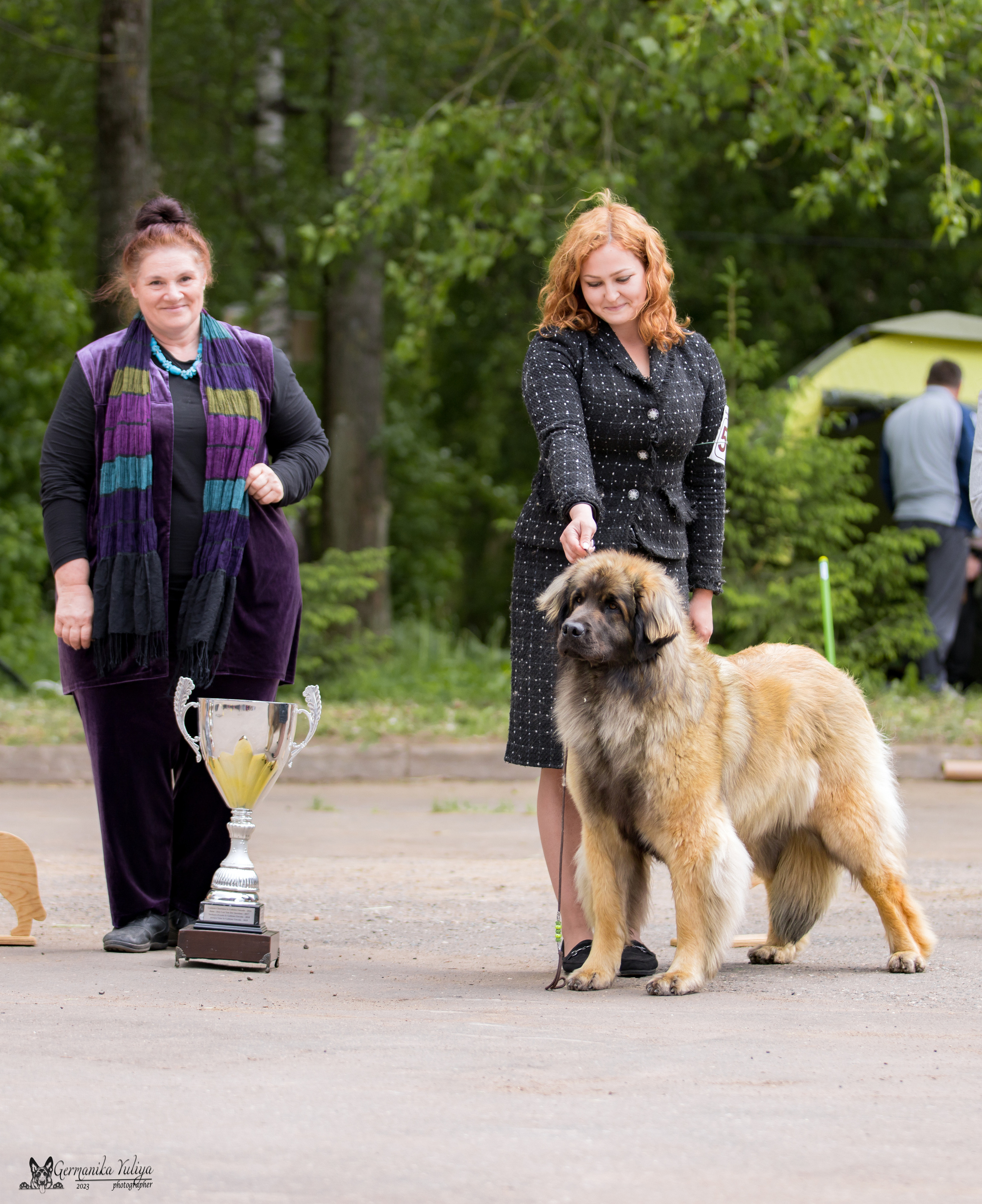 Националка Леонбергеров 28.05.2023. Фотограф-анималист Юлия Германика