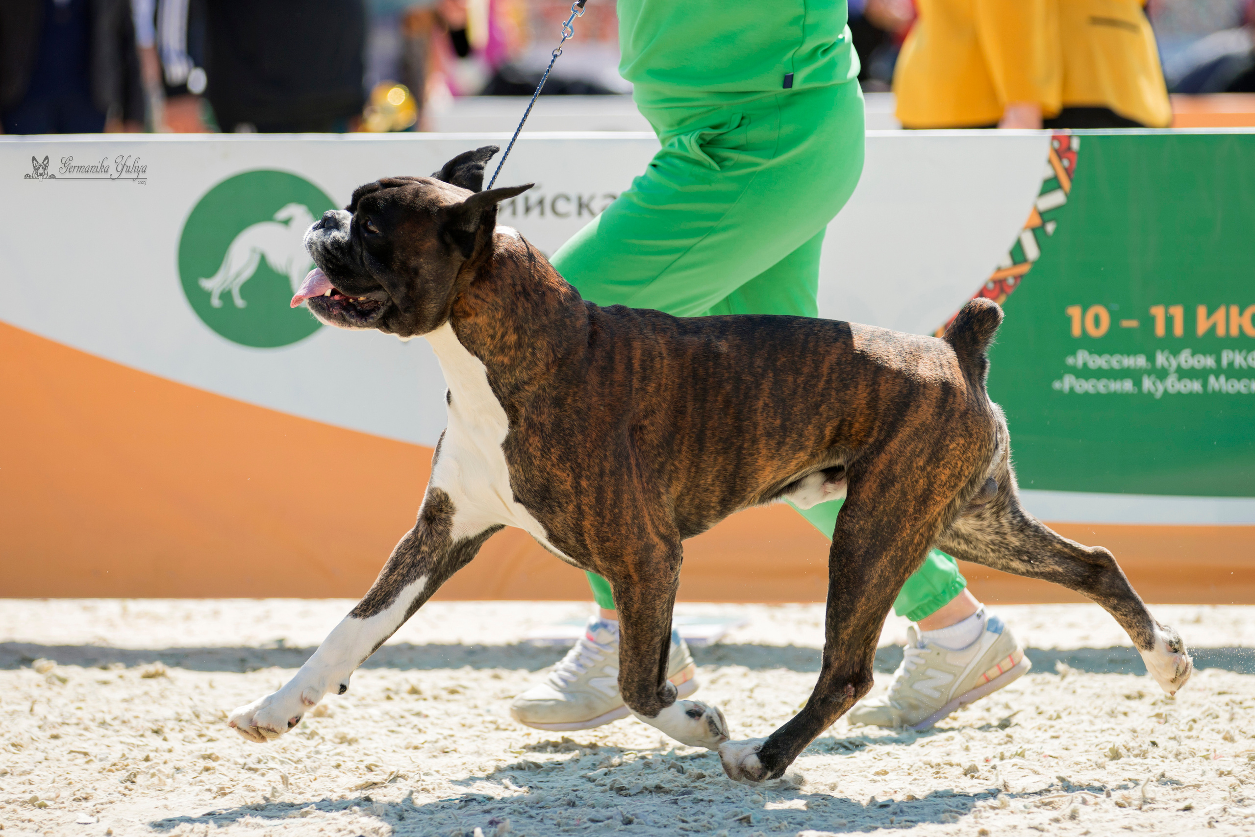 Россия 10-11.06.2023. Фотограф-анималист Юлия Германика