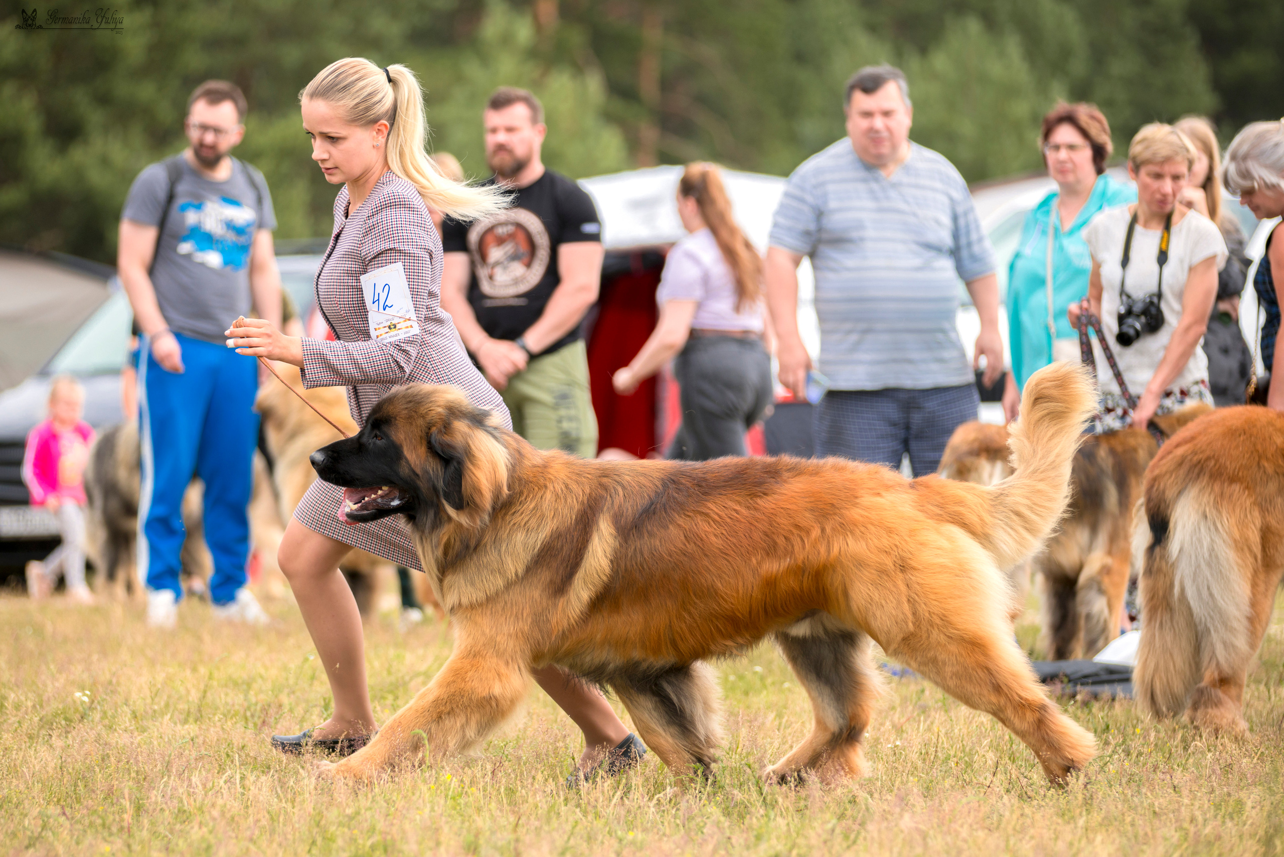 Волжанка 8.07.2023. Фотограф-анималист Юлия Германика