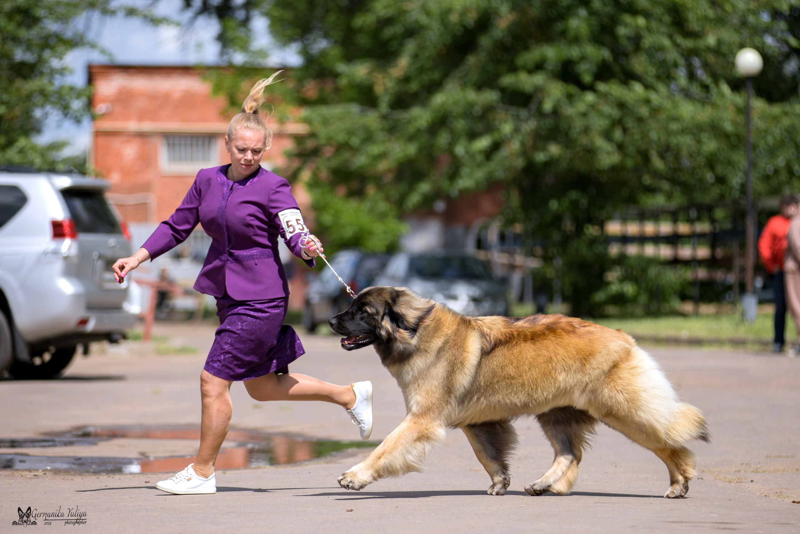 Националка Леонбергеров 28.05.2023. Фотограф-анималист Юлия Германика