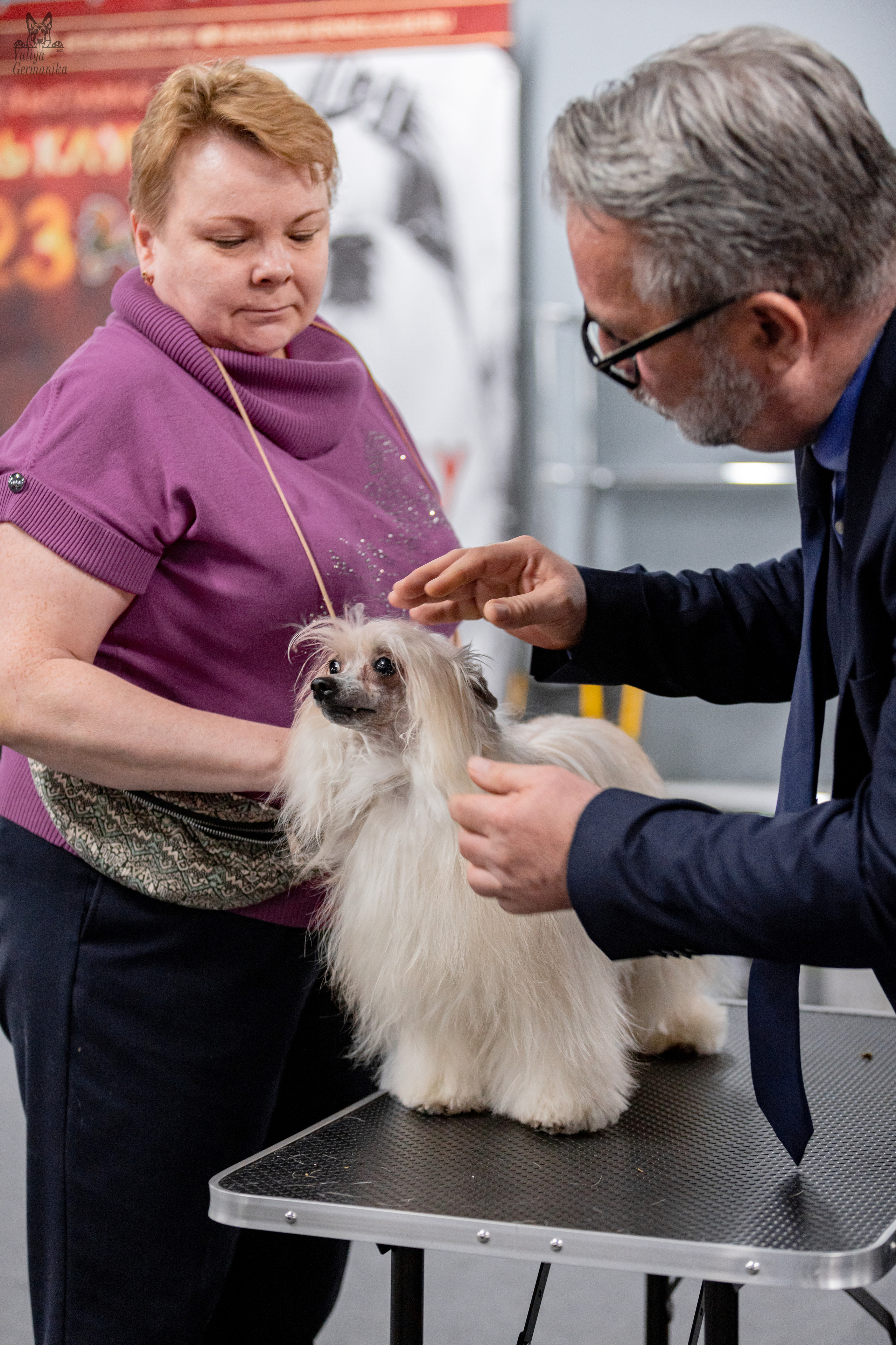 Сфера+доберманы 02.04.2023. Фотограф-анималист Юлия Германика