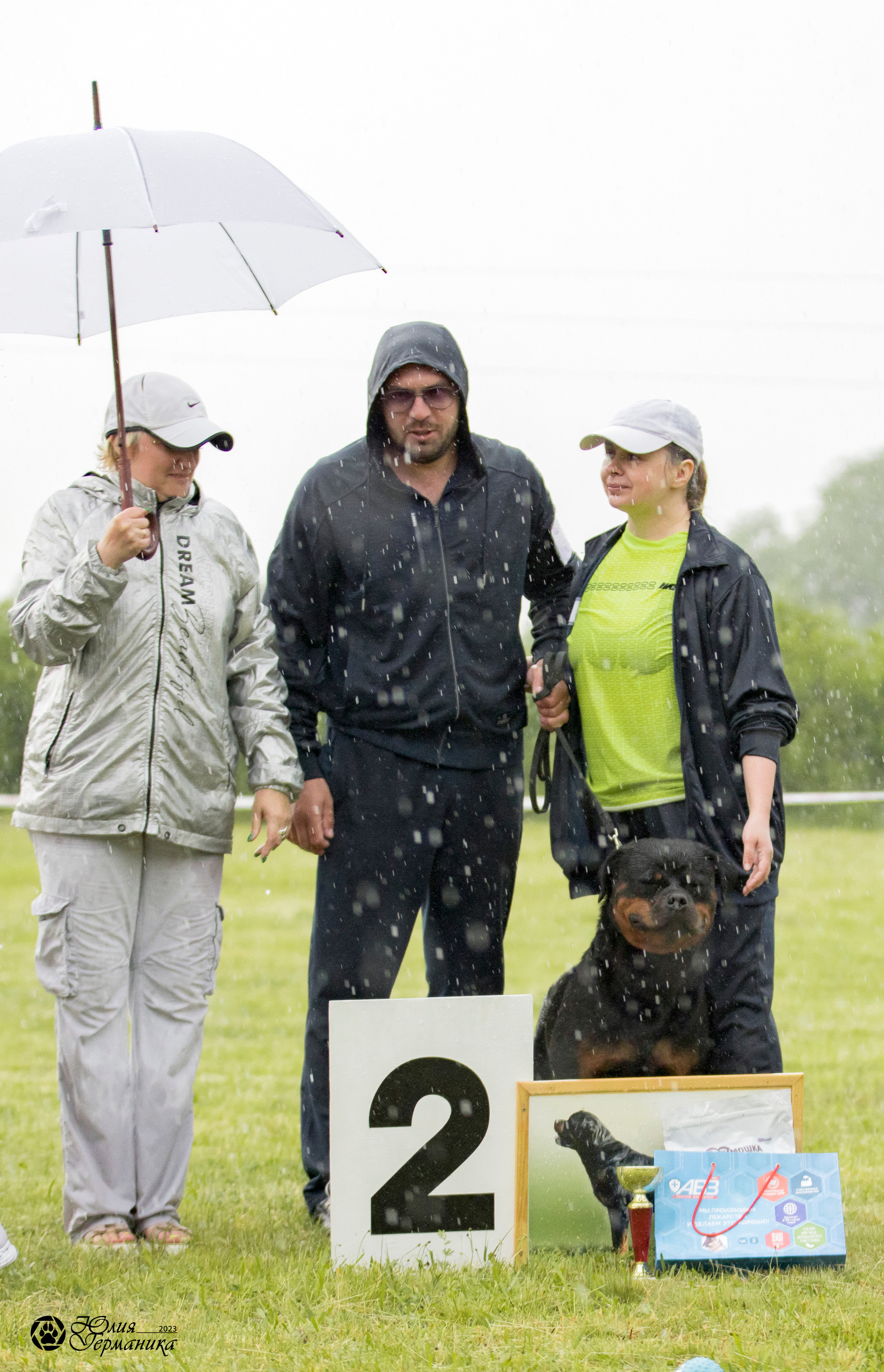 Воронеж 2хмоно ротвейлеров 3-4.06.2023. Фотограф-анималист Юлия Германика
