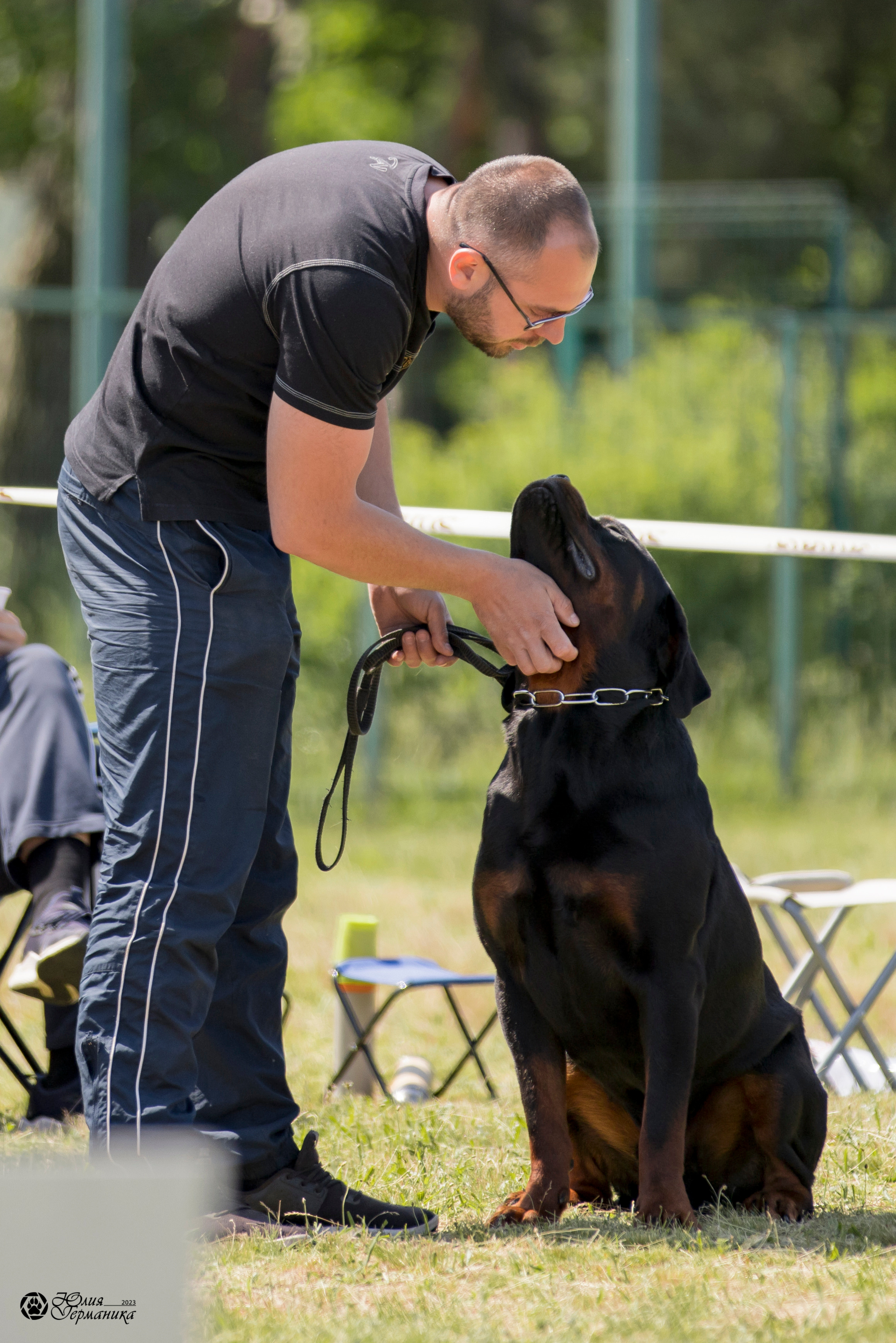 Воронеж 2хмоно ротвейлеров 3-4.06.2023. Фотограф-анималист Юлия Германика