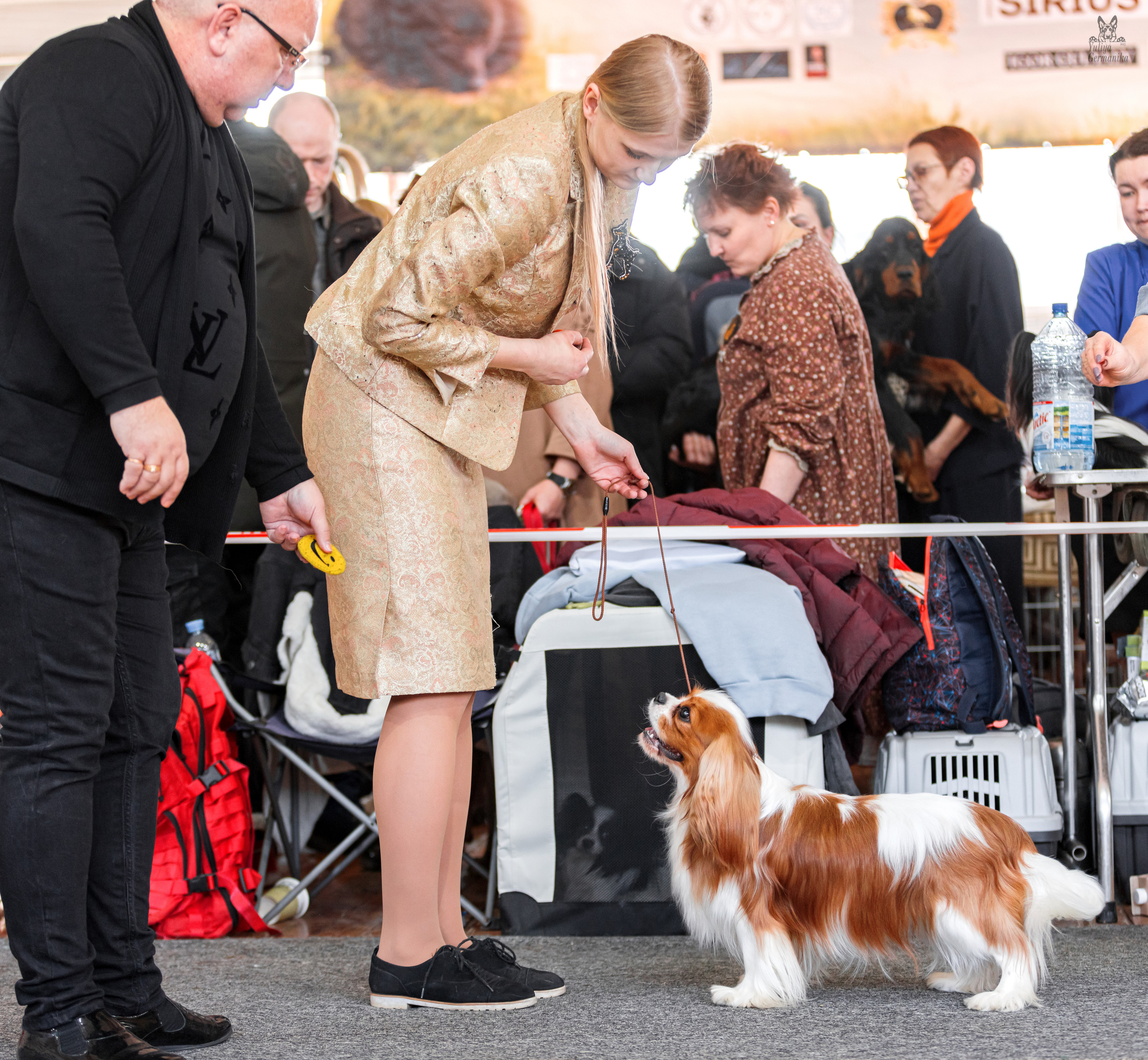 Тверь 01.04.2023. Фотограф-анималист Юлия Германика