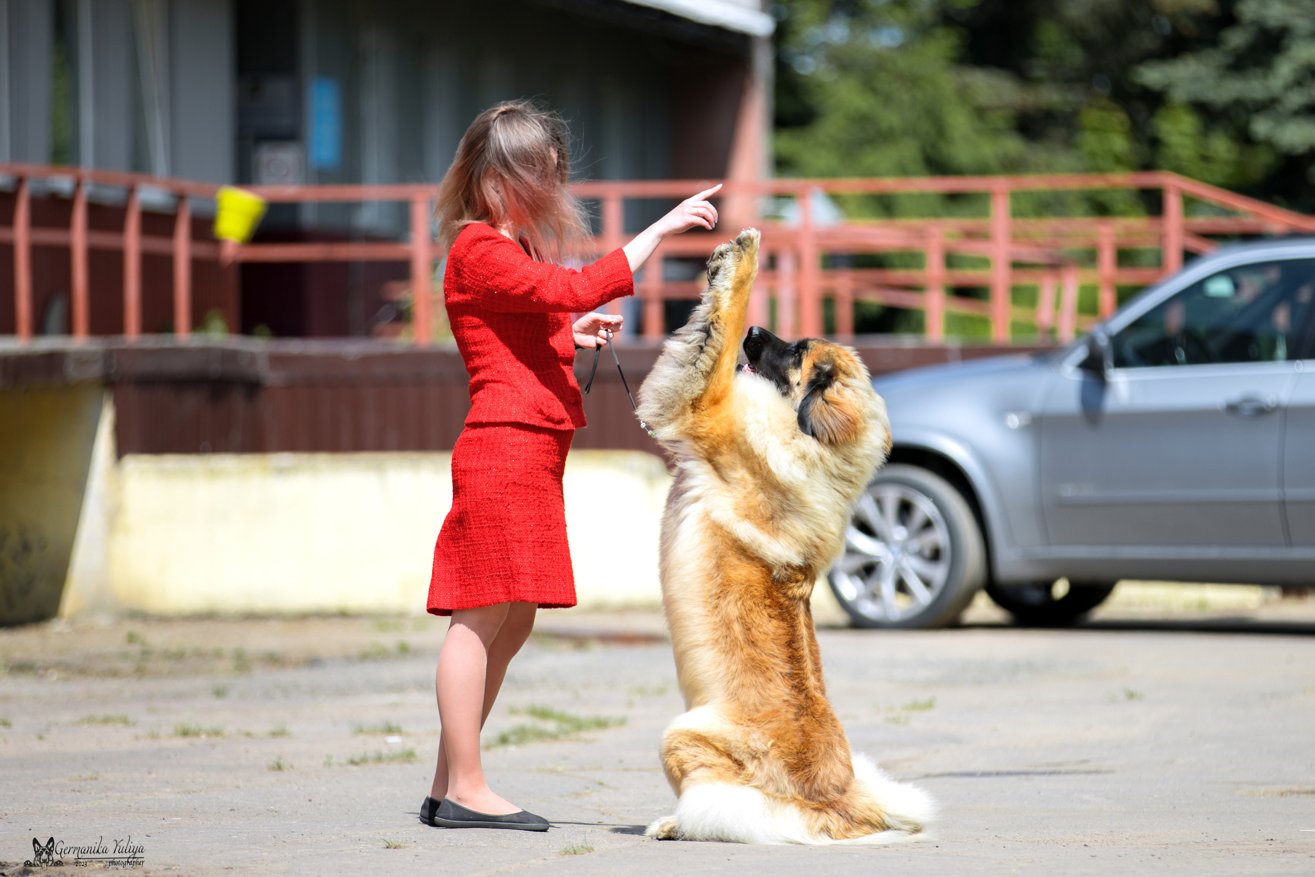 Националка Леонбергеров 28.05.2023. Фотограф-анималист Юлия Германика