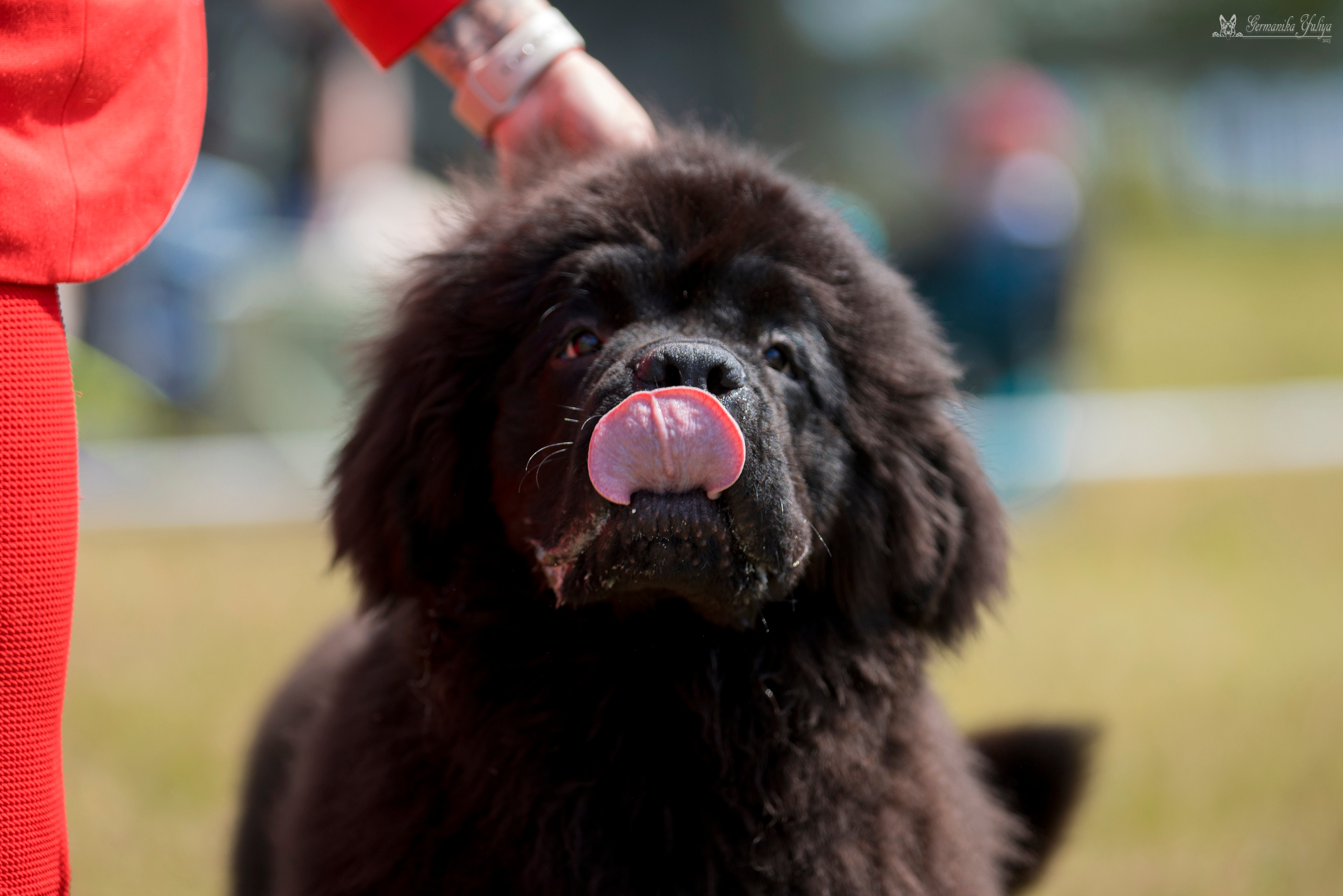 Волжанка 8.07.2023. Фотограф-анималист Юлия Германика