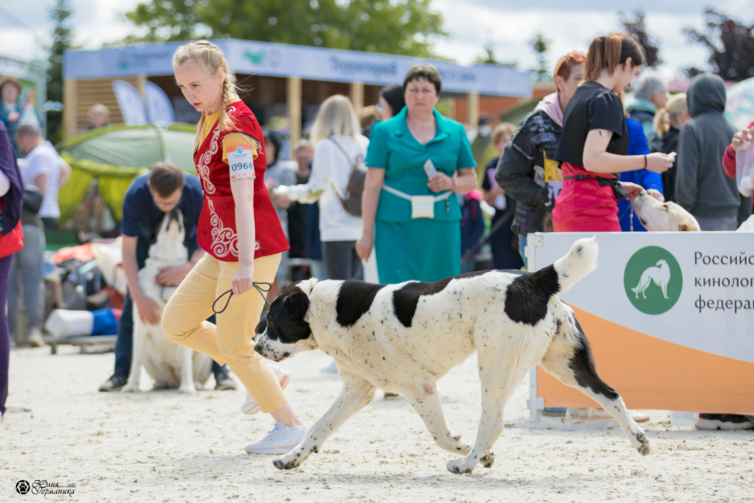 Россия 10-11.06.2023. Фотограф-анималист Юлия Германика