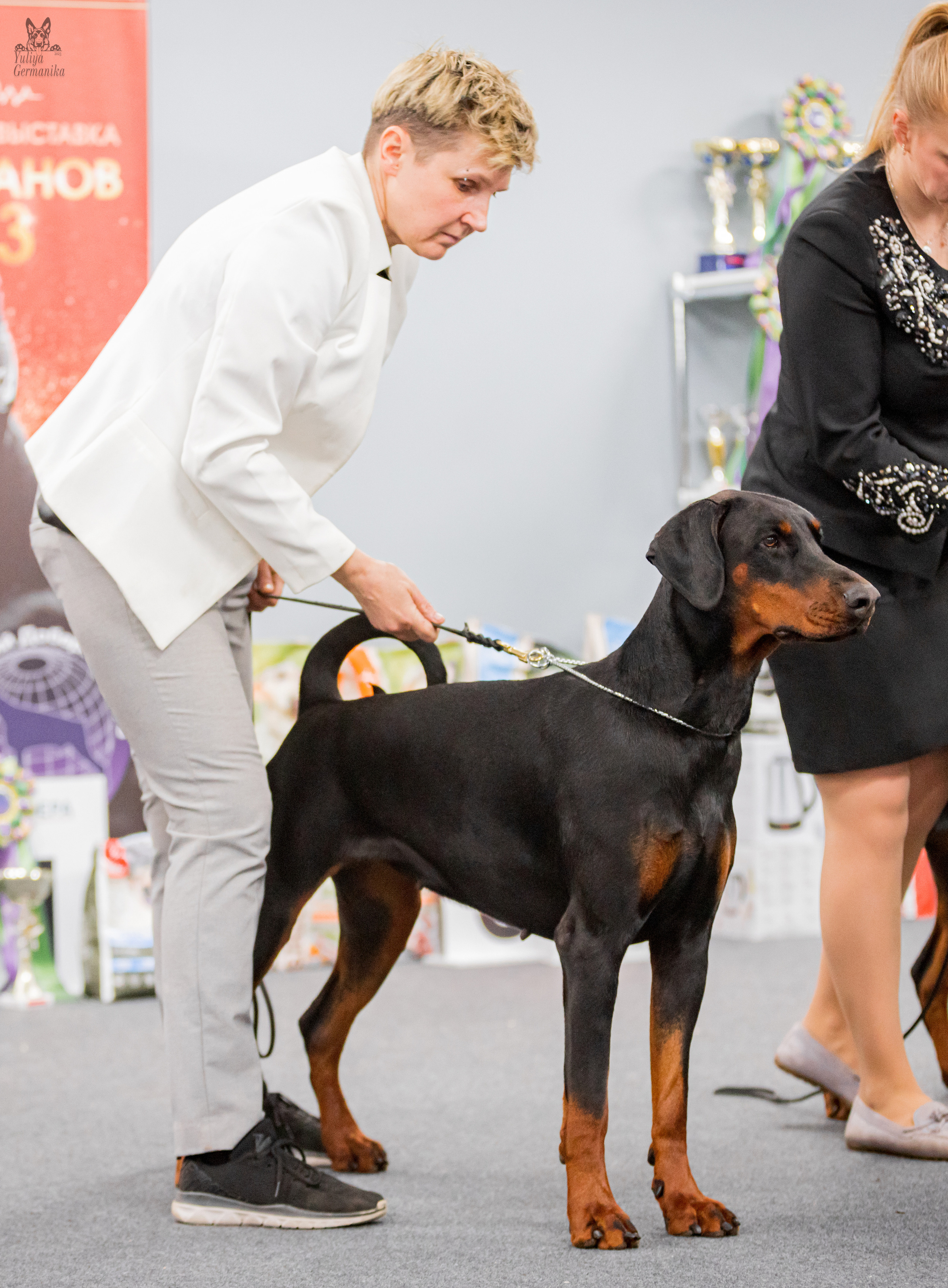 Сфера+доберманы 02.04.2023. Фотограф-анималист Юлия Германика