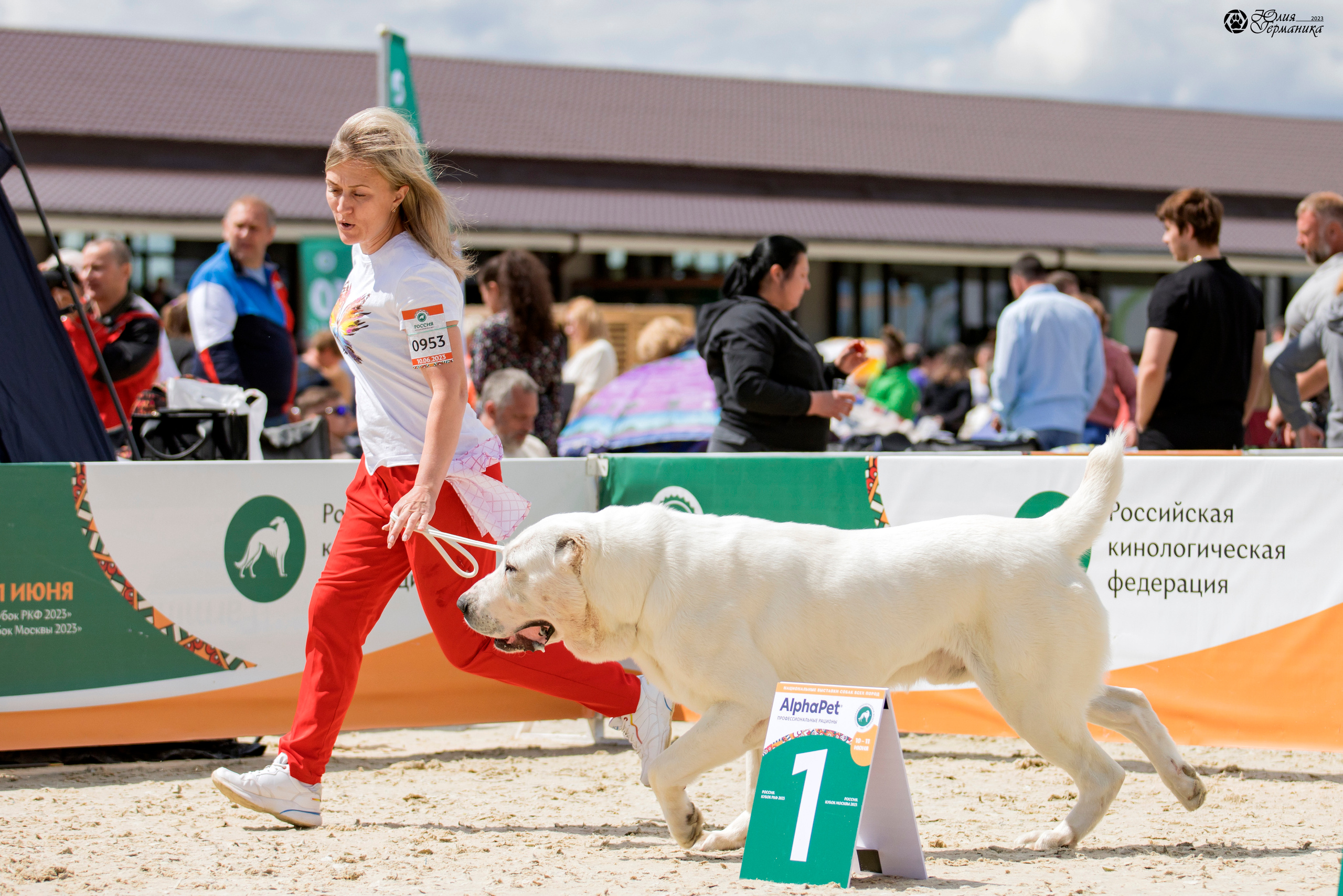 Россия 10-11.06.2023. Фотограф-анималист Юлия Германика