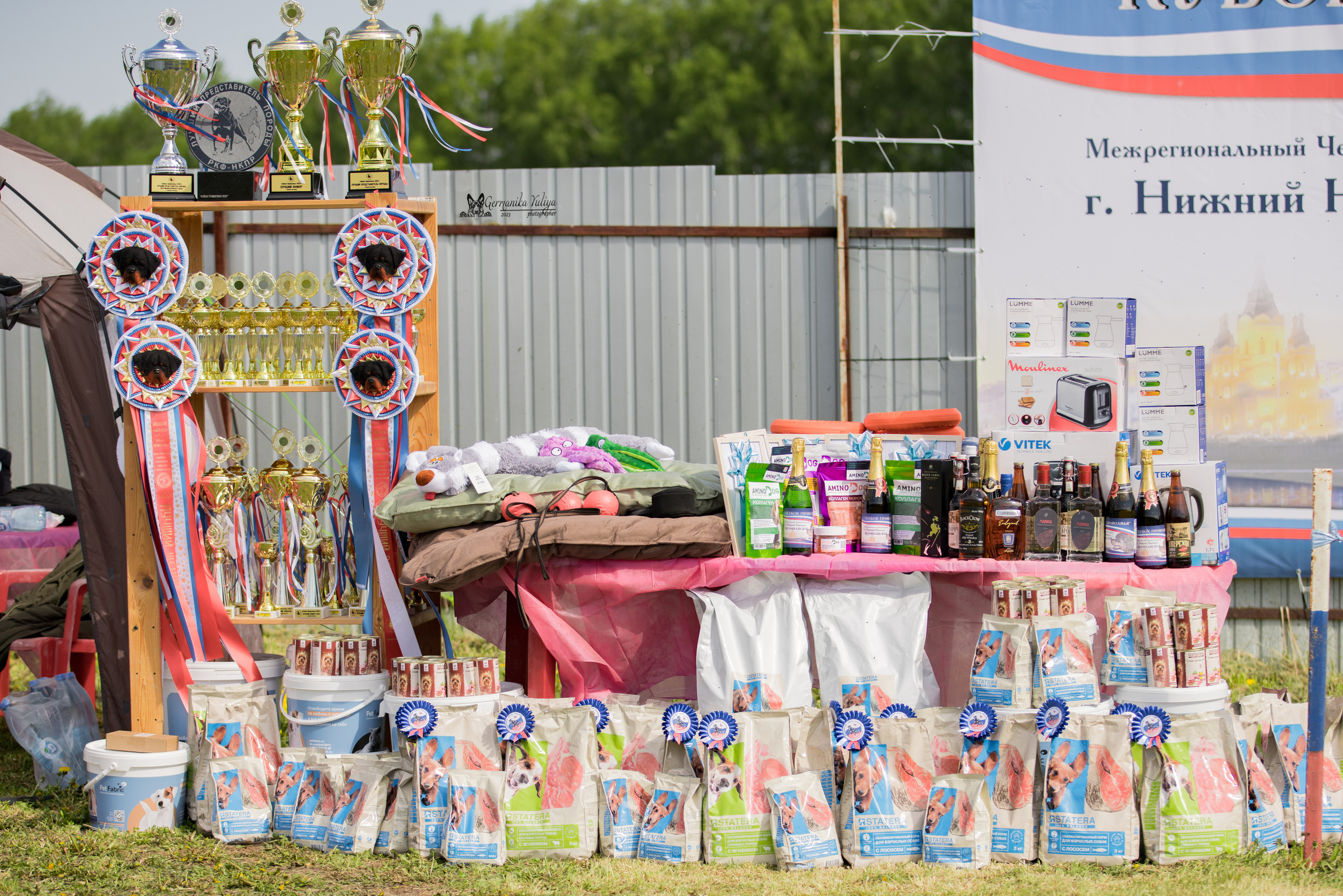 Нижний Новгород моно ротвейлеров 13.05.2023. Фотограф-анималист Юлия Германика