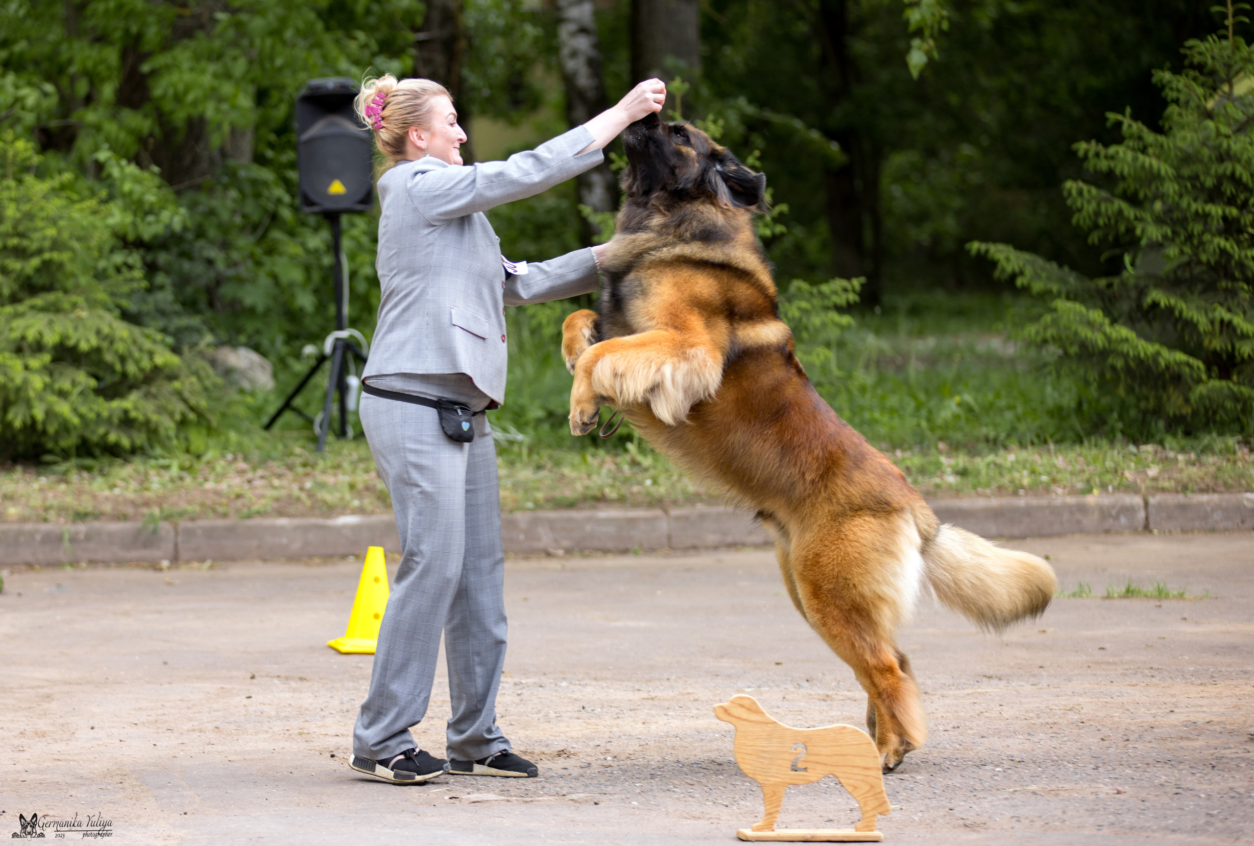 Националка Леонбергеров 28.05.2023. Фотограф-анималист Юлия Германика