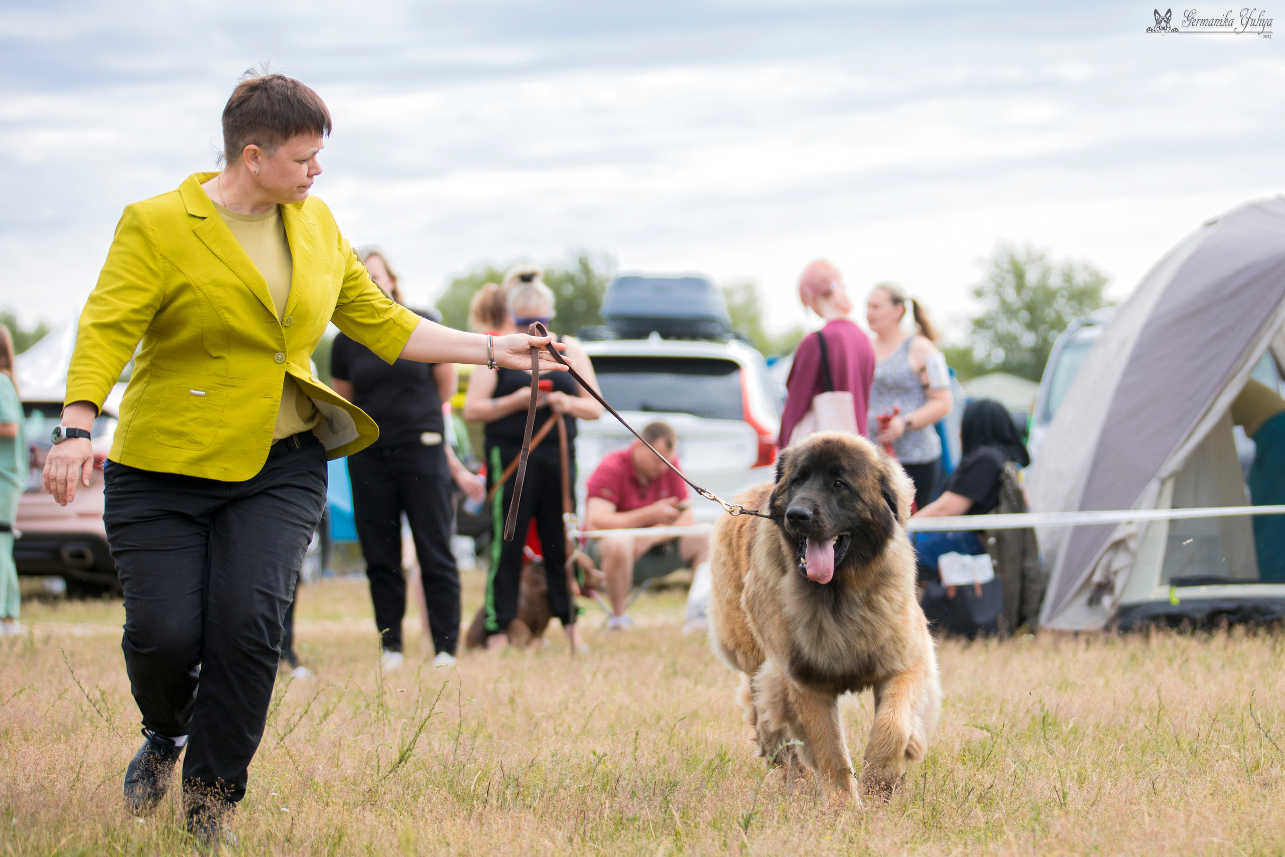 Волжанка 8.07.2023. Фотограф-анималист Юлия Германика