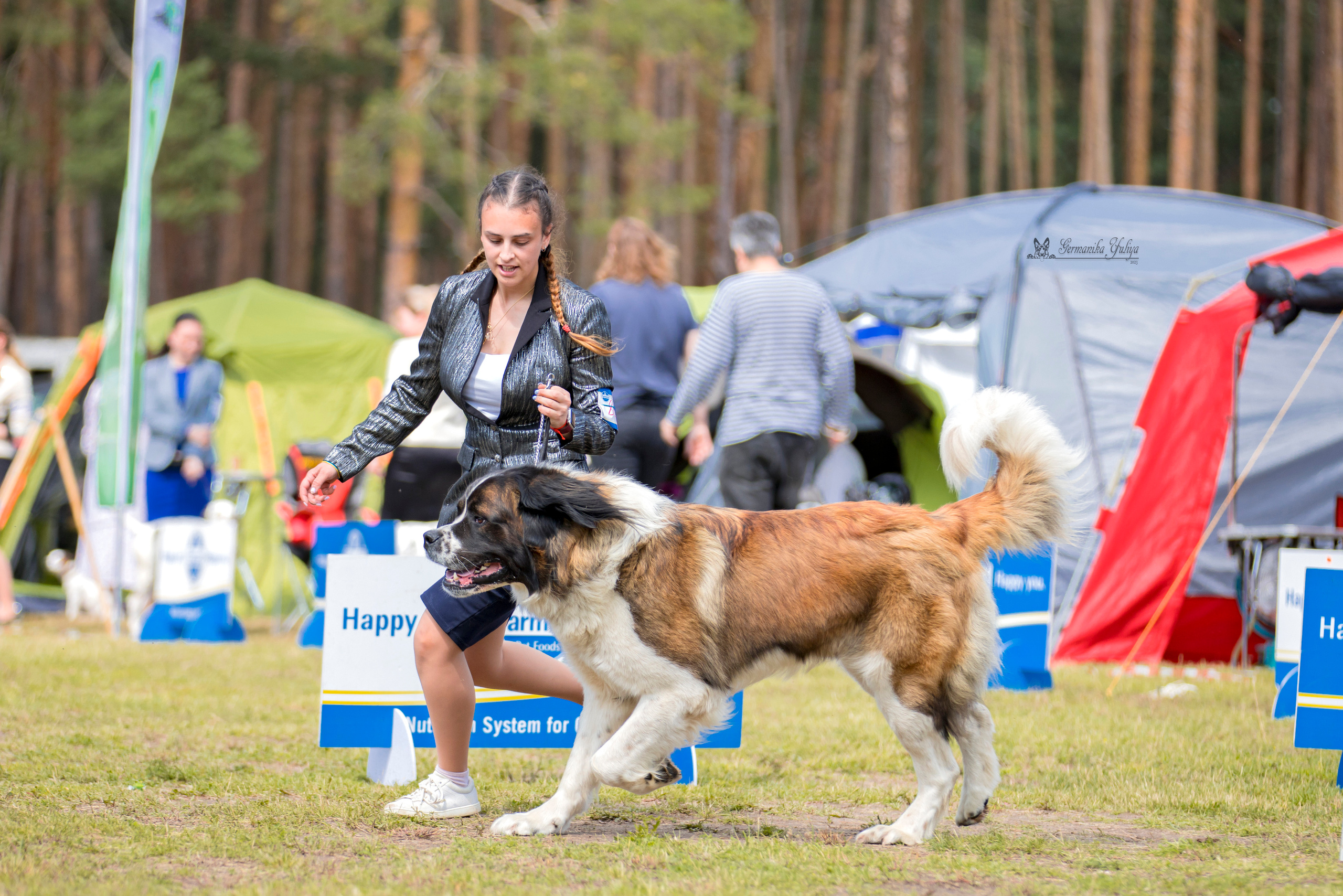 Владимир 1-2.07.2023. Фотограф-анималист Юлия Германика