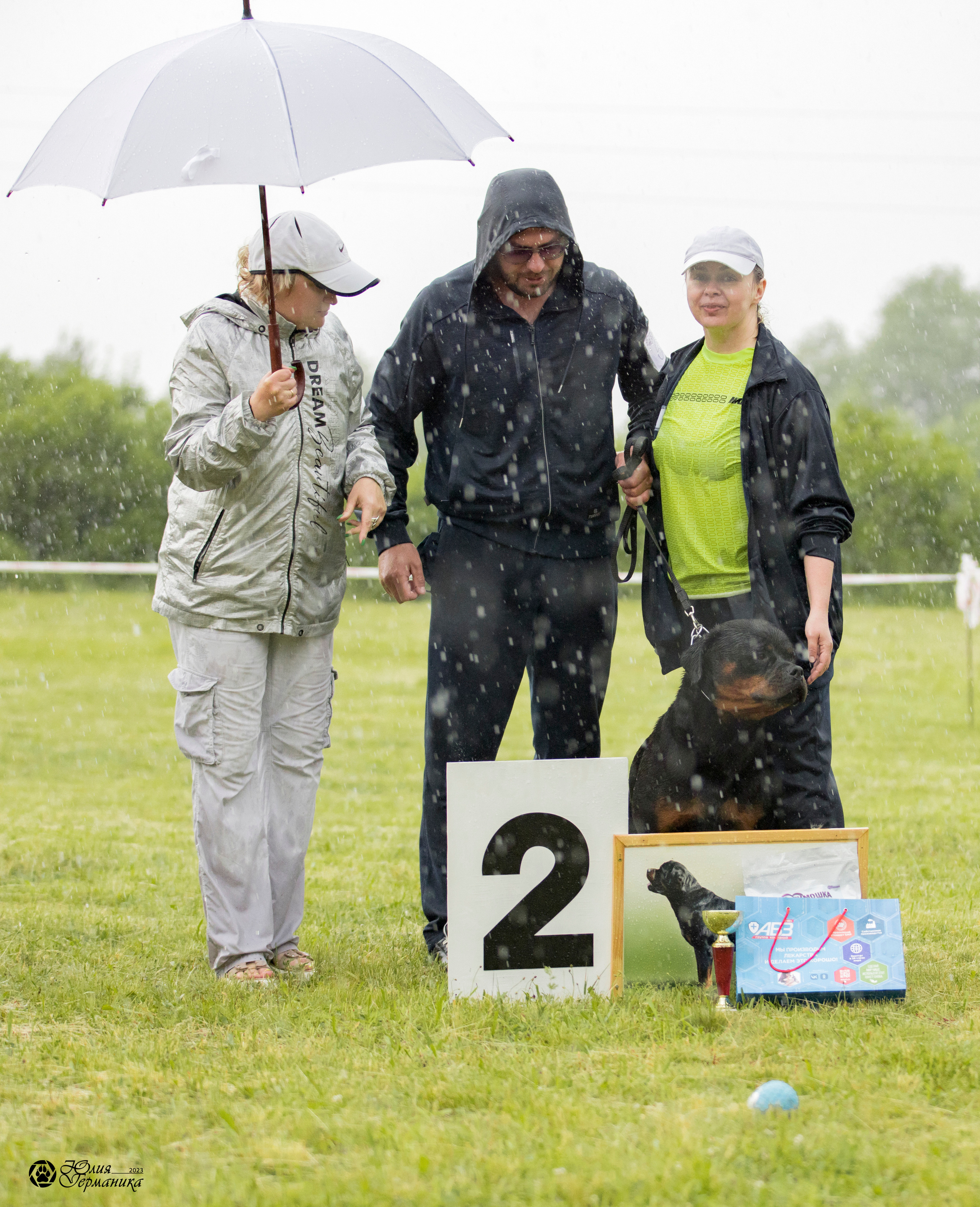 Воронеж 2хмоно ротвейлеров 3-4.06.2023. Фотограф-анималист Юлия Германика
