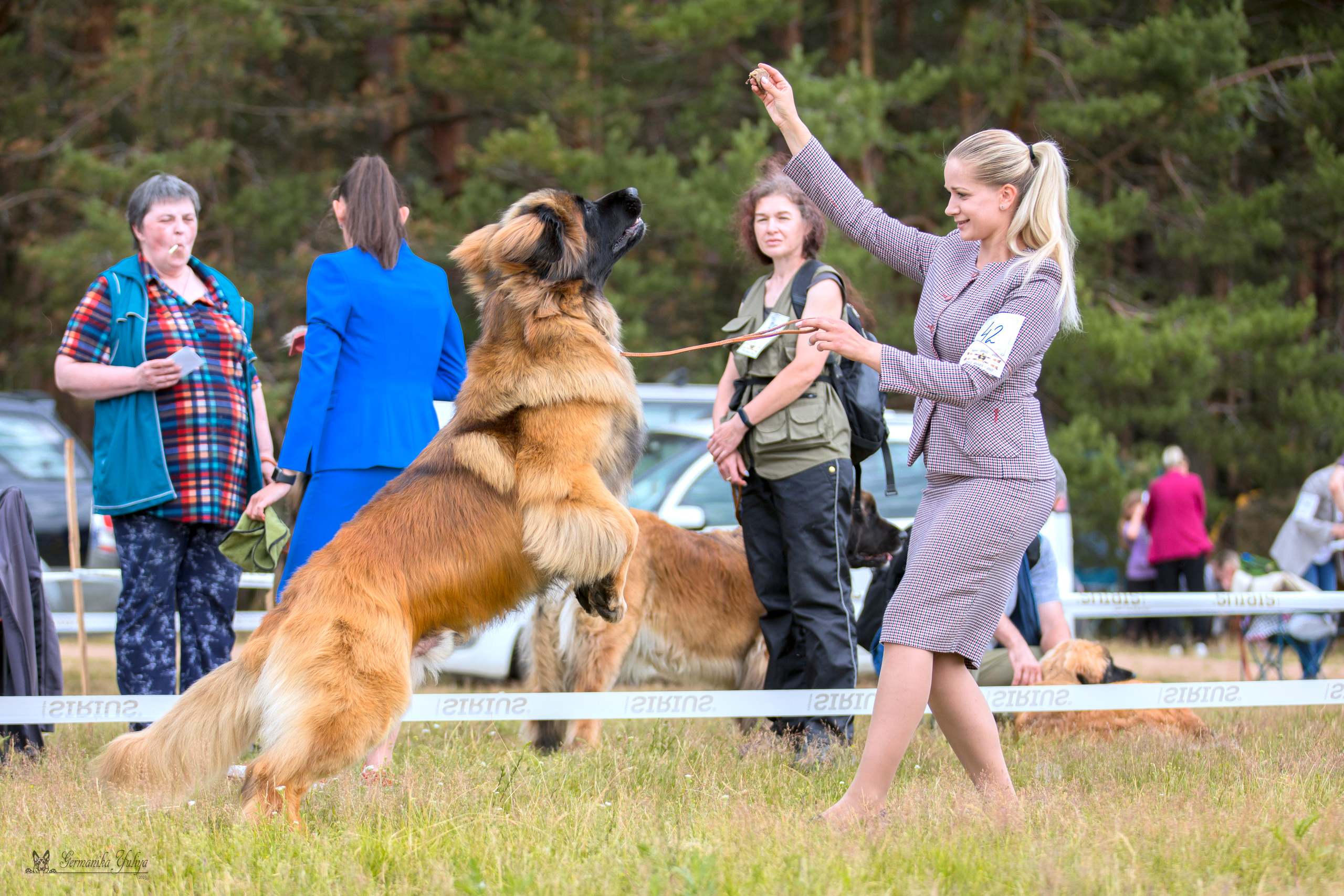 Волжанка 8.07.2023. Фотограф-анималист Юлия Германика