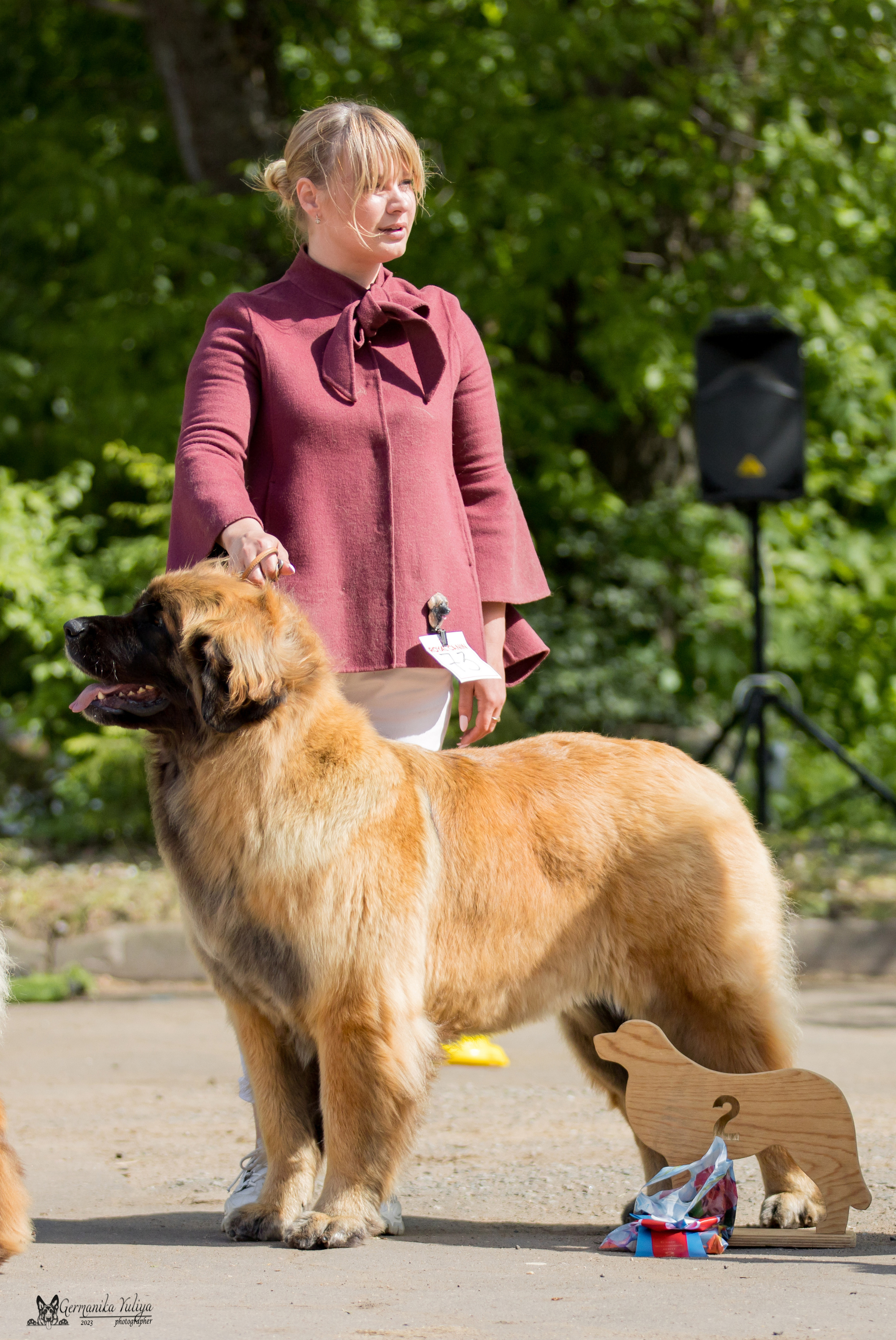 Националка Леонбергеров 28.05.2023. Фотограф-анималист Юлия Германика