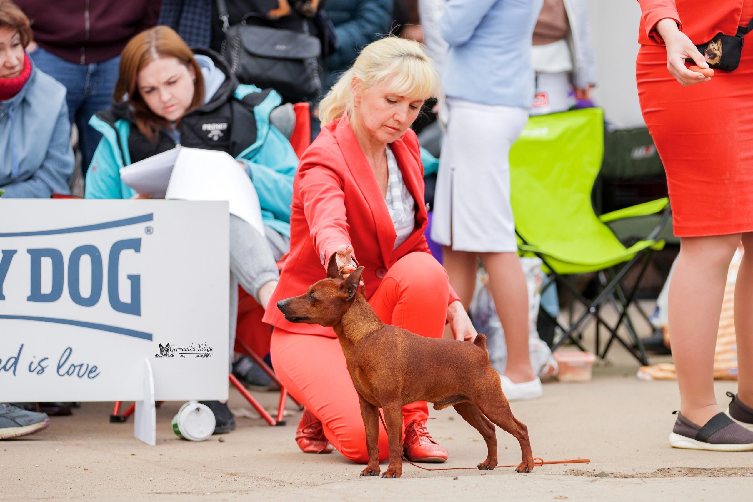 Измайлово 21.05.2023. Фотограф-анималист Юлия Германика