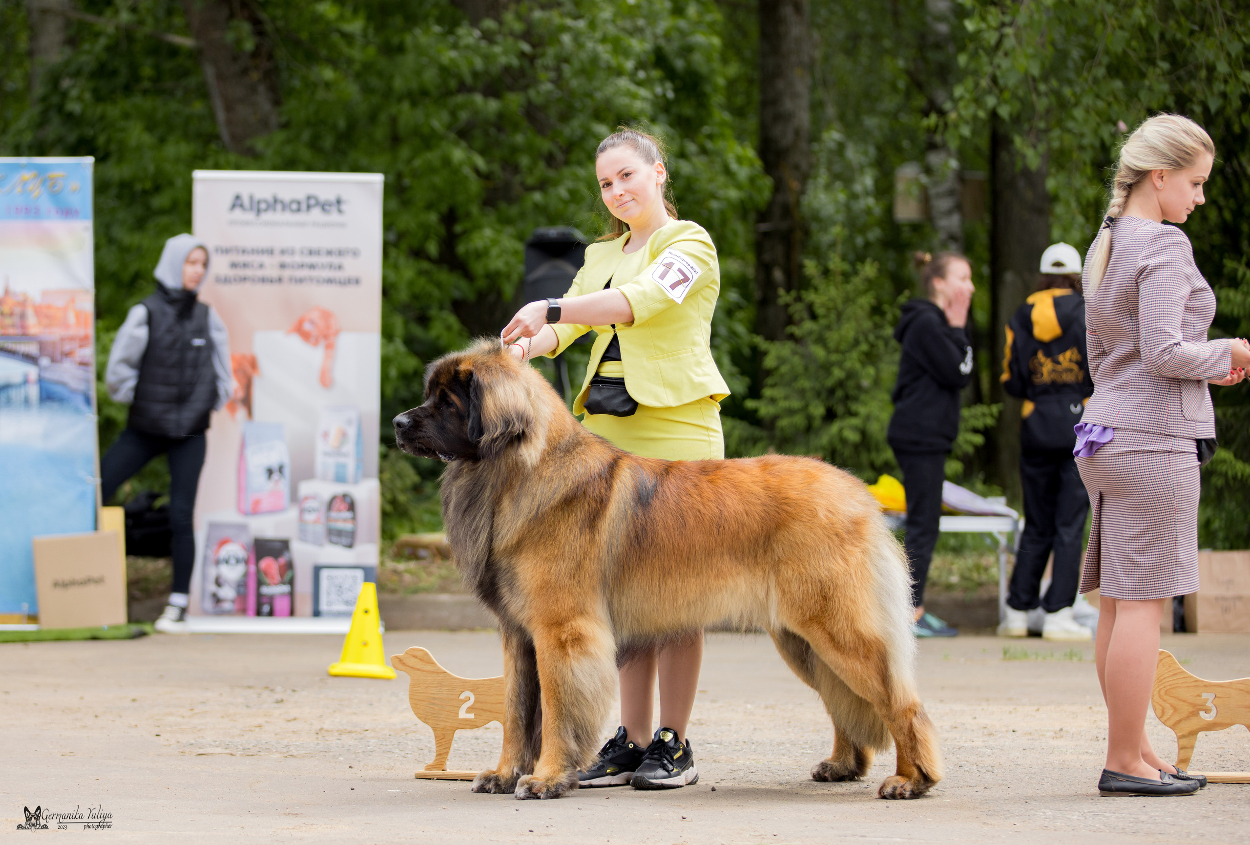 Националка Леонбергеров 28.05.2023. Фотограф-анималист Юлия Германика