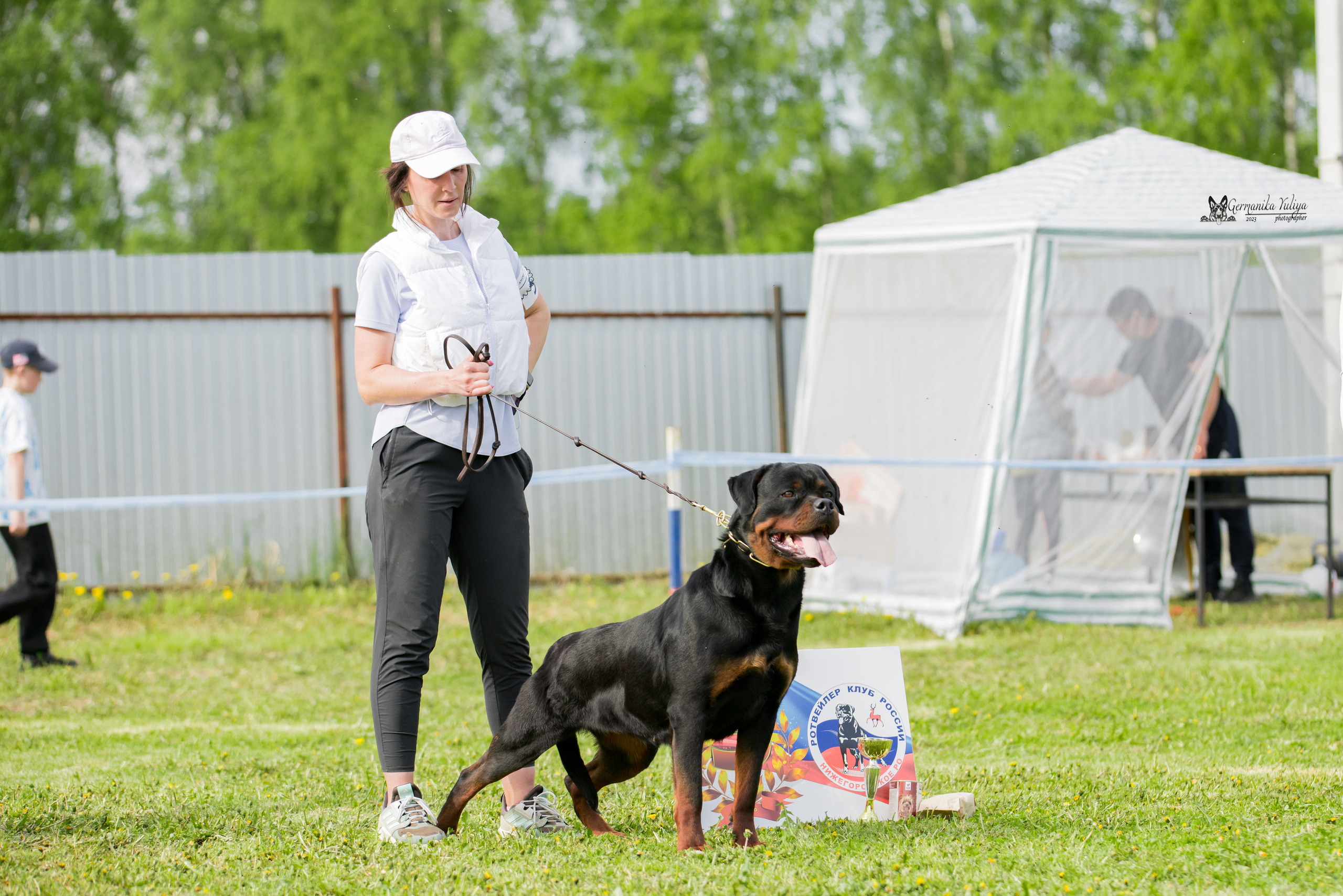 Нижний Новгород моно ротвейлеров 13.05.2023. Фотограф-анималист Юлия Германика