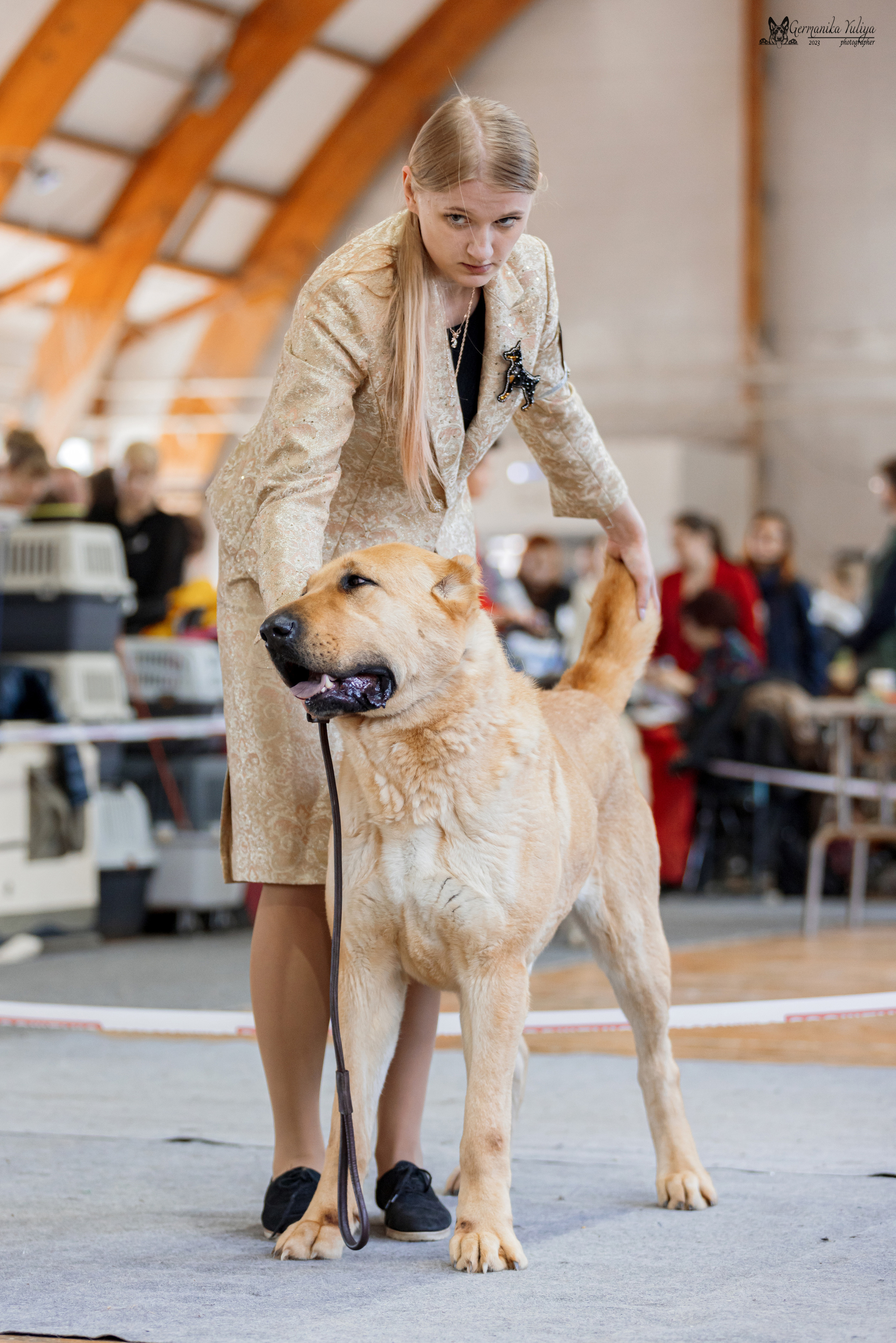 Тверь 01.04.2023. Фотограф-анималист Юлия Германика