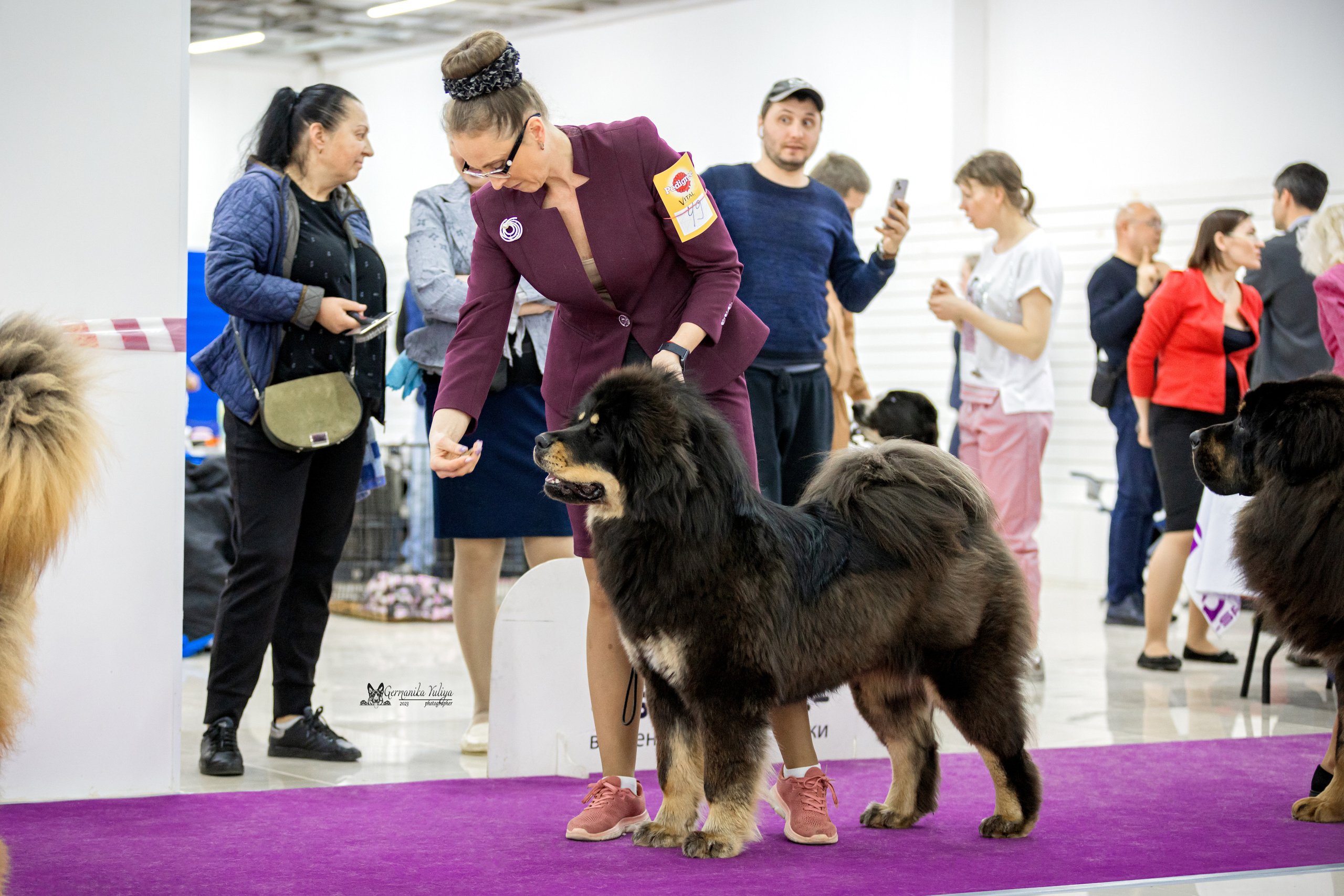 Сфера+МД 8-9.04.2023. Фотограф-анималист Юлия Германика