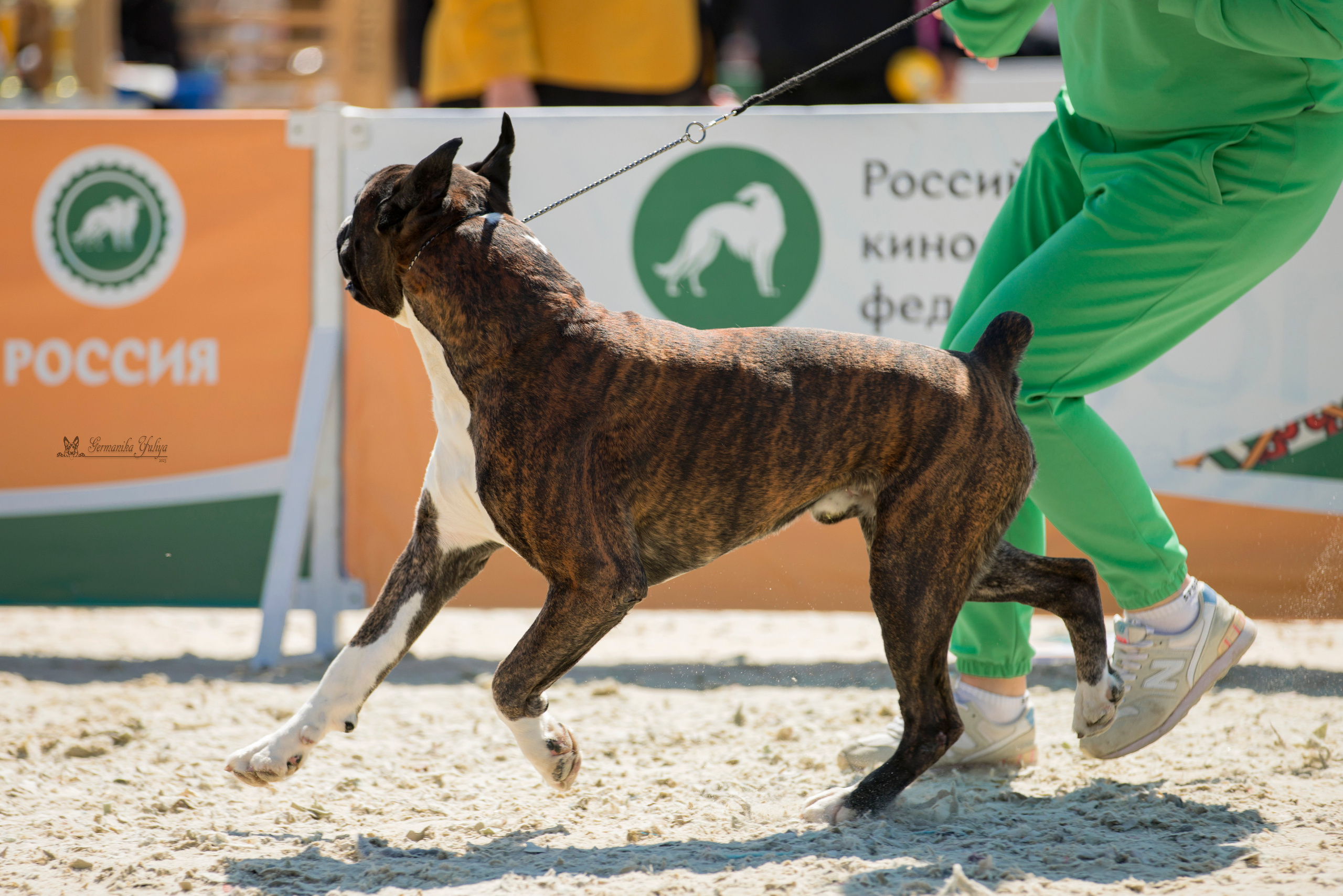 Россия 10-11.06.2023. Фотограф-анималист Юлия Германика