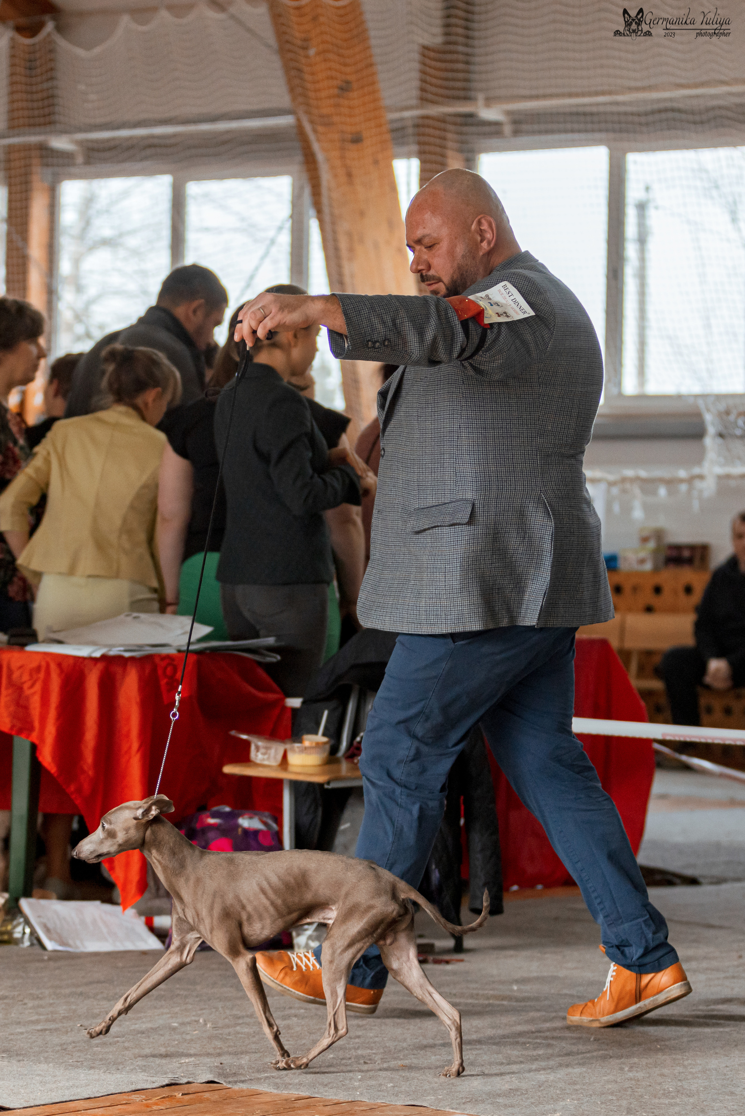 Тверь 01.04.2023. Фотограф-анималист Юлия Германика